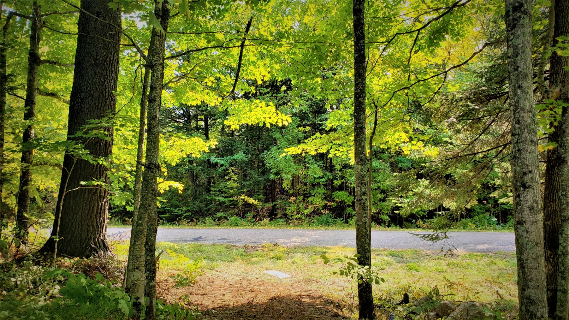 04 Northwoods Lane, Elcho, WI 54428 (Sold MyStateMLS Listing 10940905)