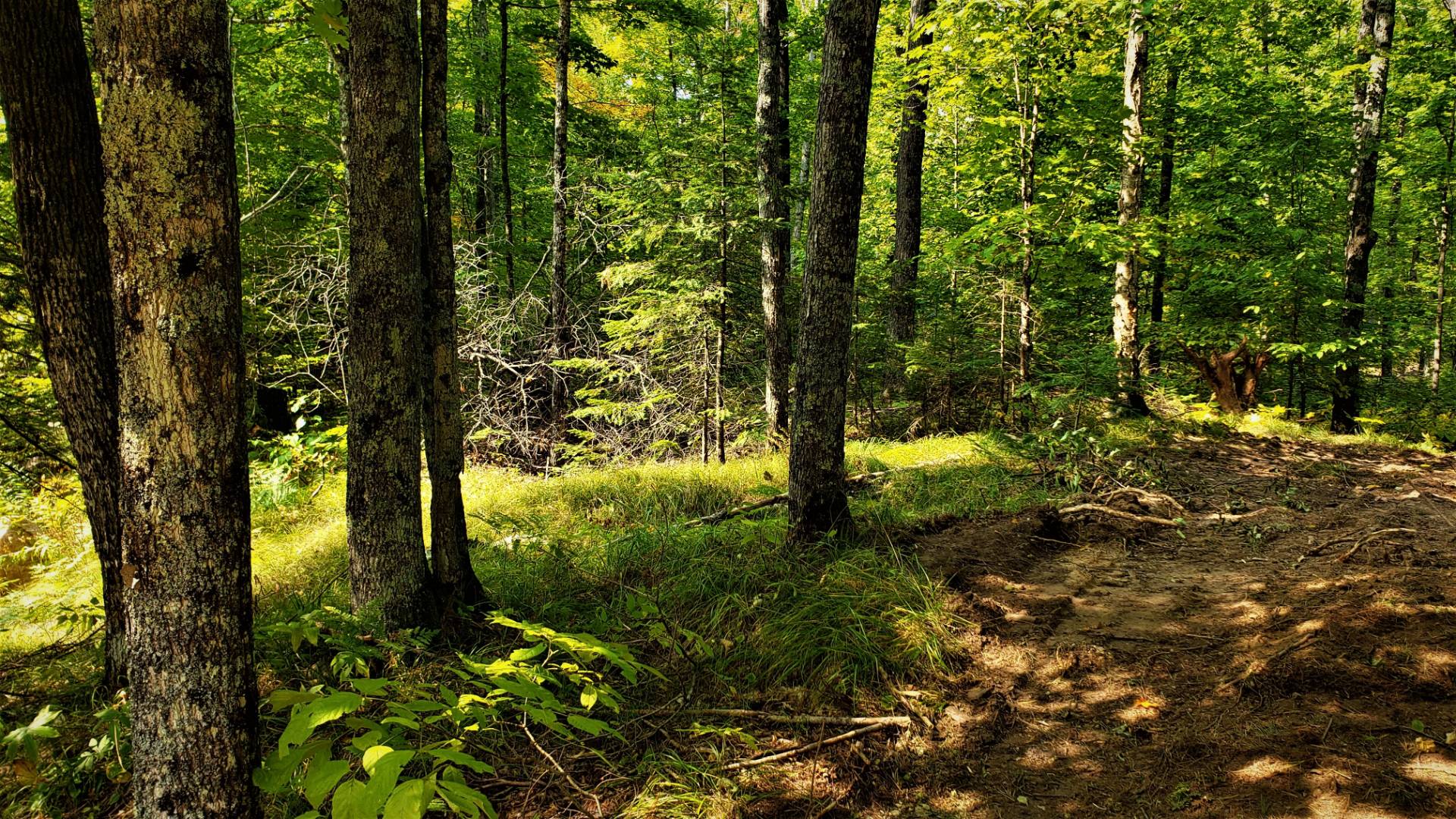 04 Northwoods Lane, Elcho, WI 54428 (Sold MyStateMLS Listing 10940905)