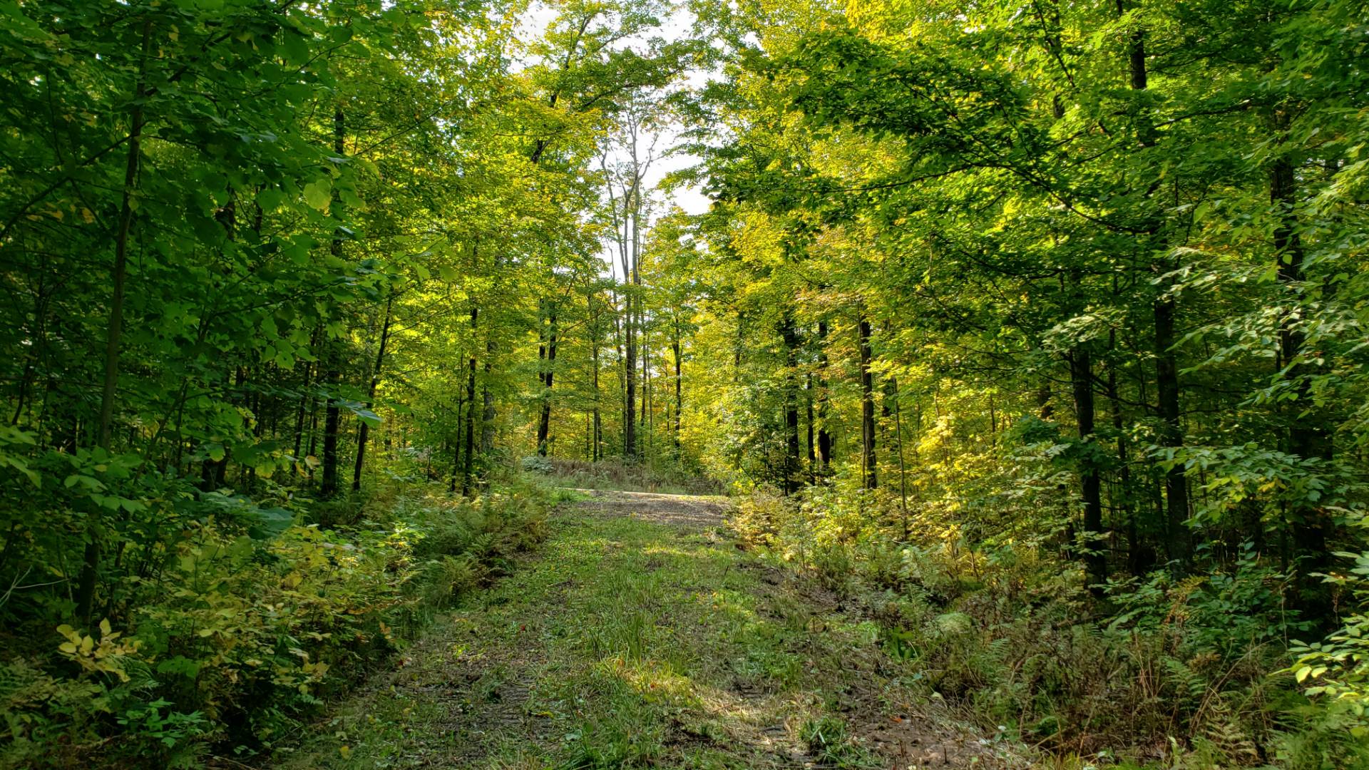 03 Northwoods Lane, Elcho, WI 54428 (Sold NYStateMLS Listing 10940911)