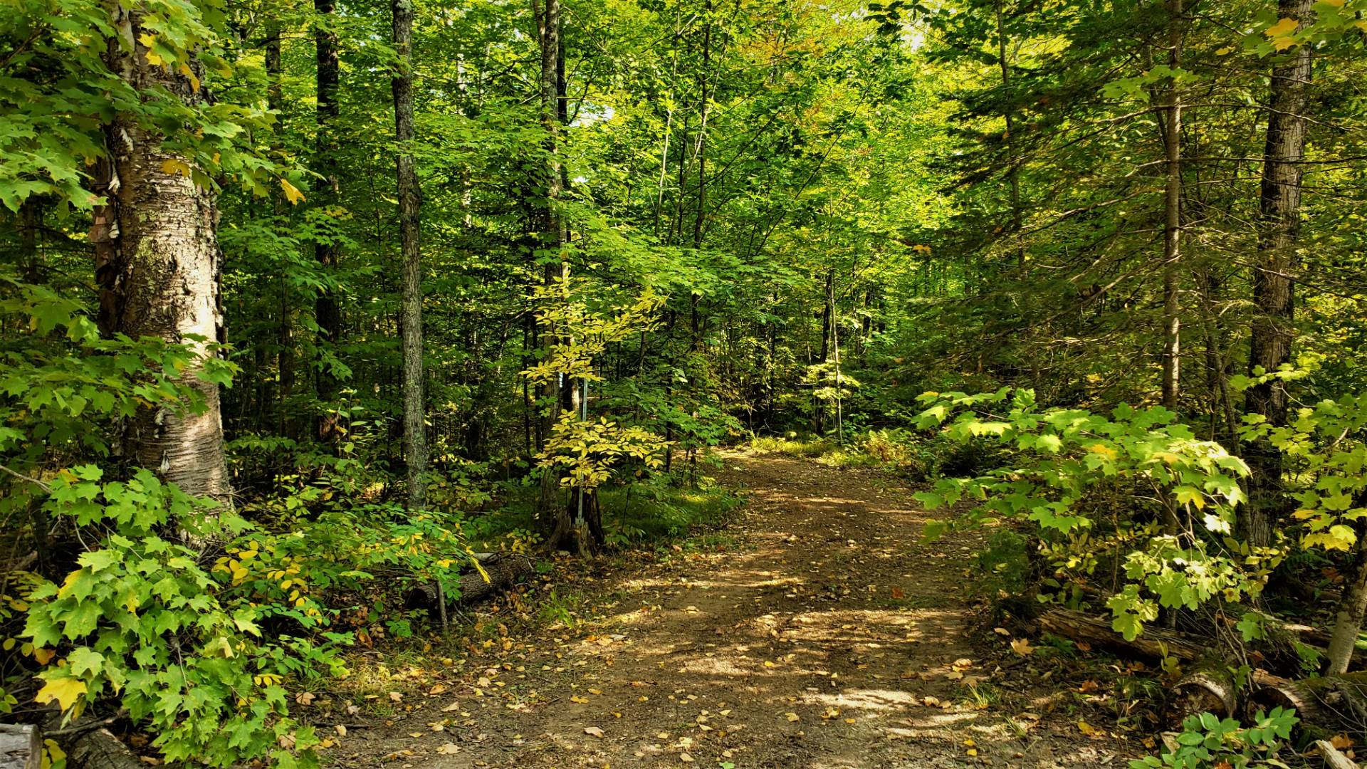 03 Northwoods Lane, Elcho, WI 54428 (Sold NYStateMLS Listing 10940911)