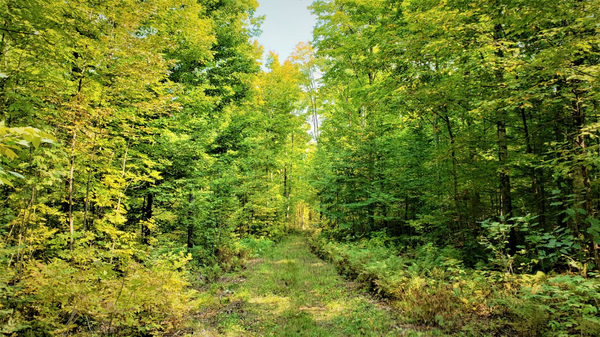 03 Northwoods Lane, Elcho, WI 54428 (Sold NYStateMLS Listing 10940911)