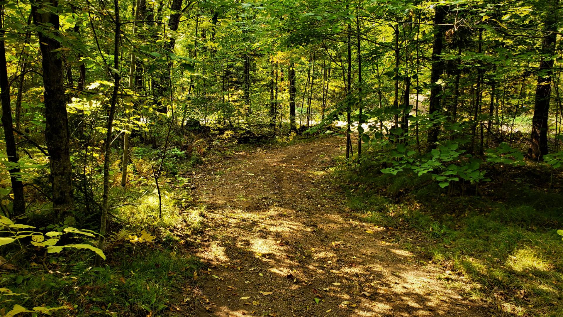 03 Northwoods Lane, Elcho, WI 54428 (Sold NYStateMLS Listing 10940911)