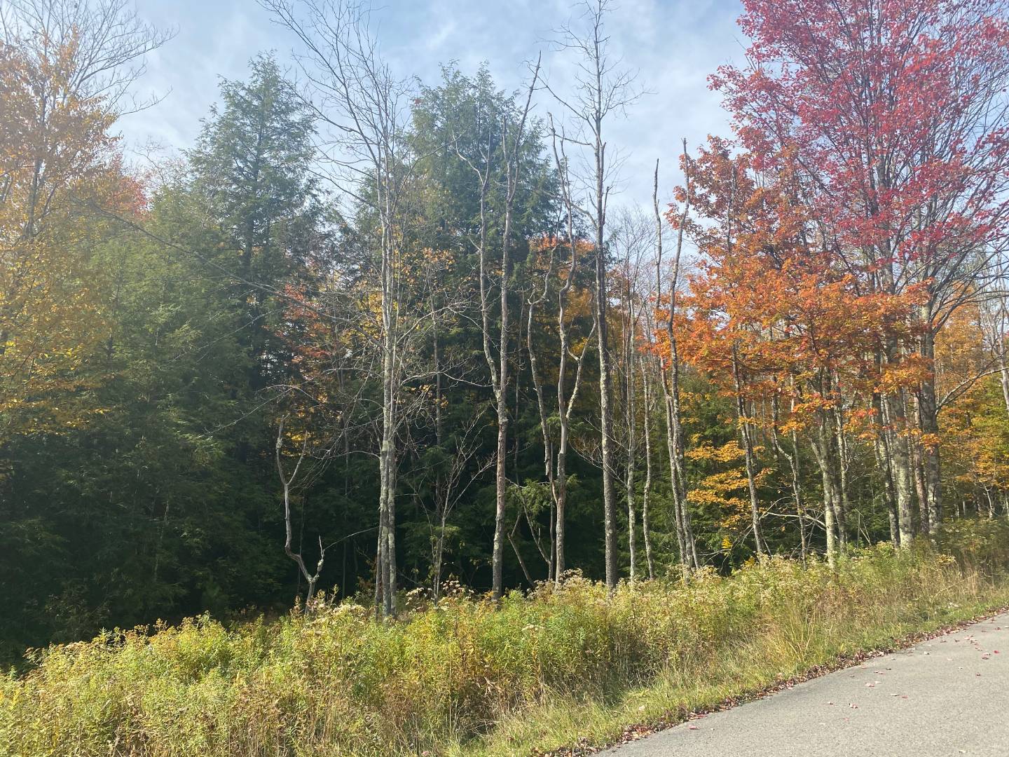 0 Tuscan Ridge Road, Davis, WV 26260 (Sold NYStateMLS Listing 10948131)