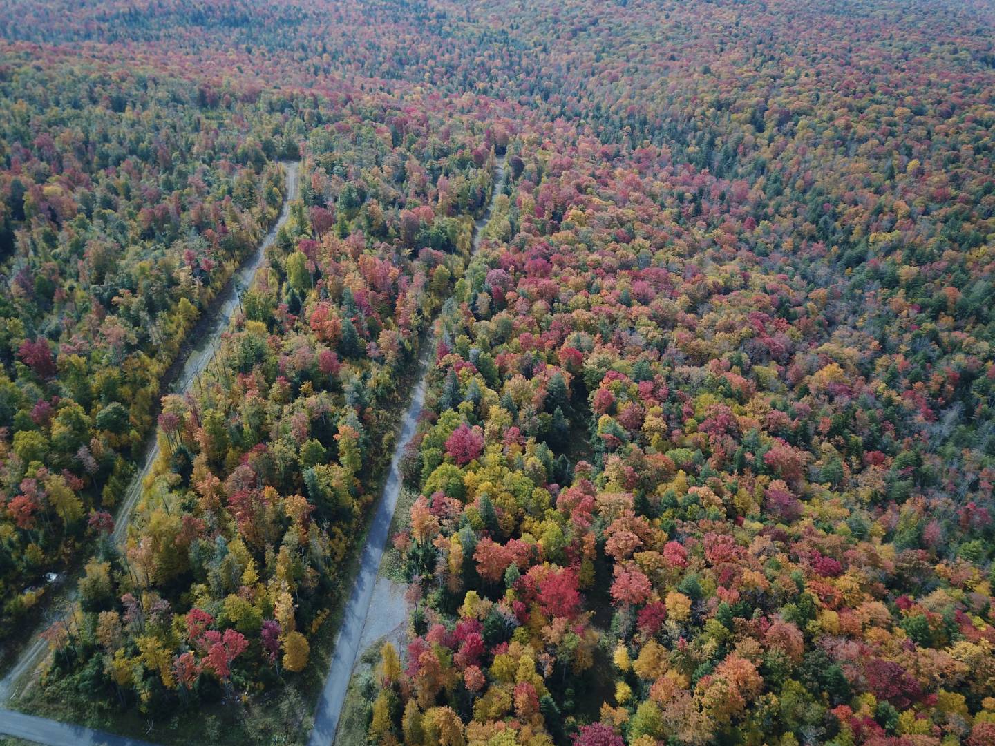 0 Tuscan Ridge Road, Davis, WV 26260 (Sold NYStateMLS Listing 10948131)