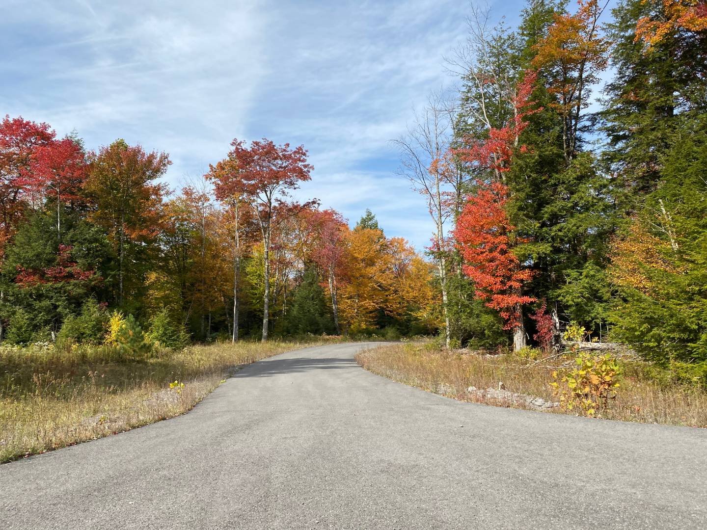 0 Tuscan Ridge Road, Davis, WV 26260 (Sold NYStateMLS Listing 10948131)