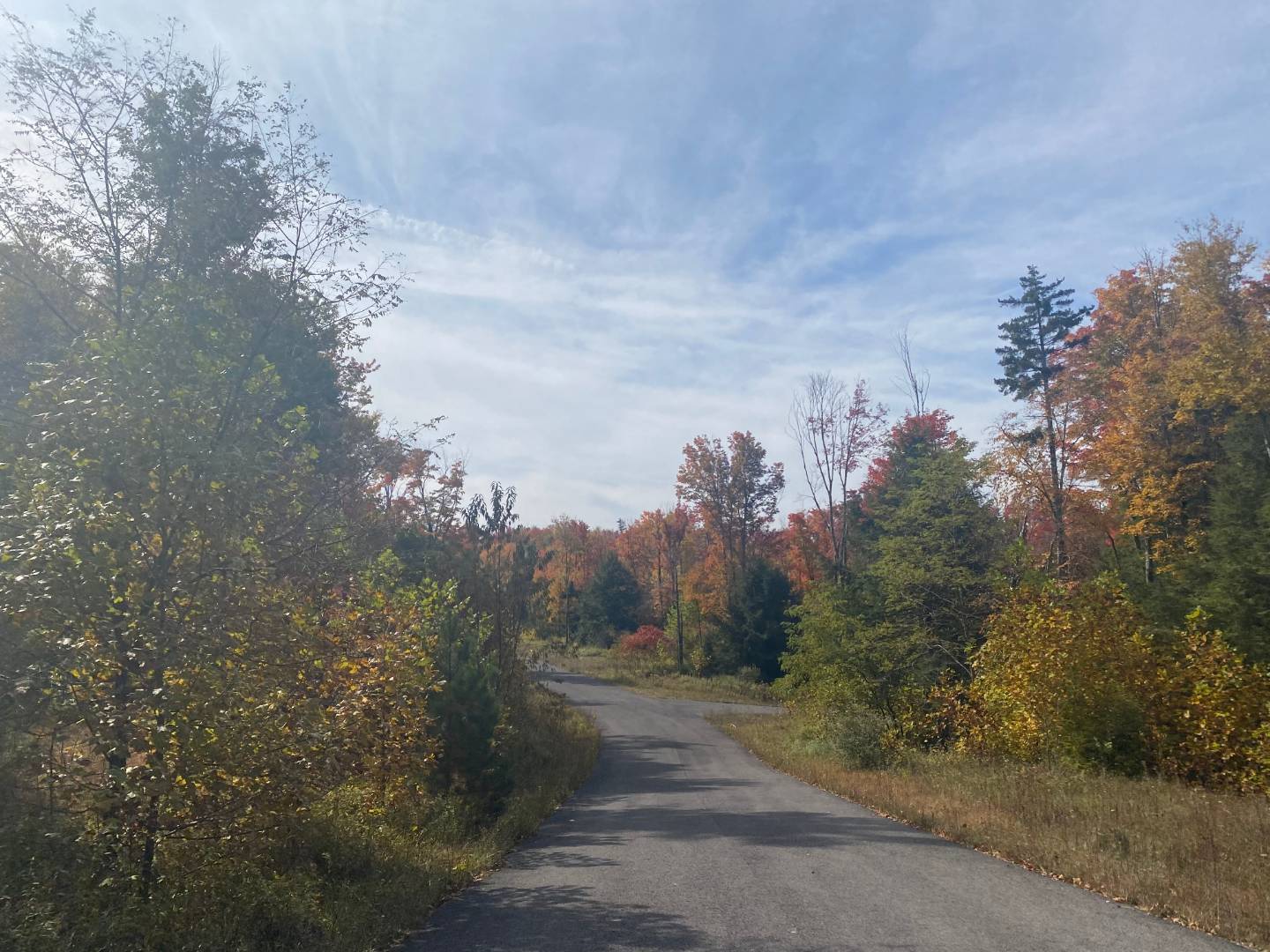 0 Tuscan Ridge Road, Davis, WV 26260 (Sold NYStateMLS Listing 10948131)