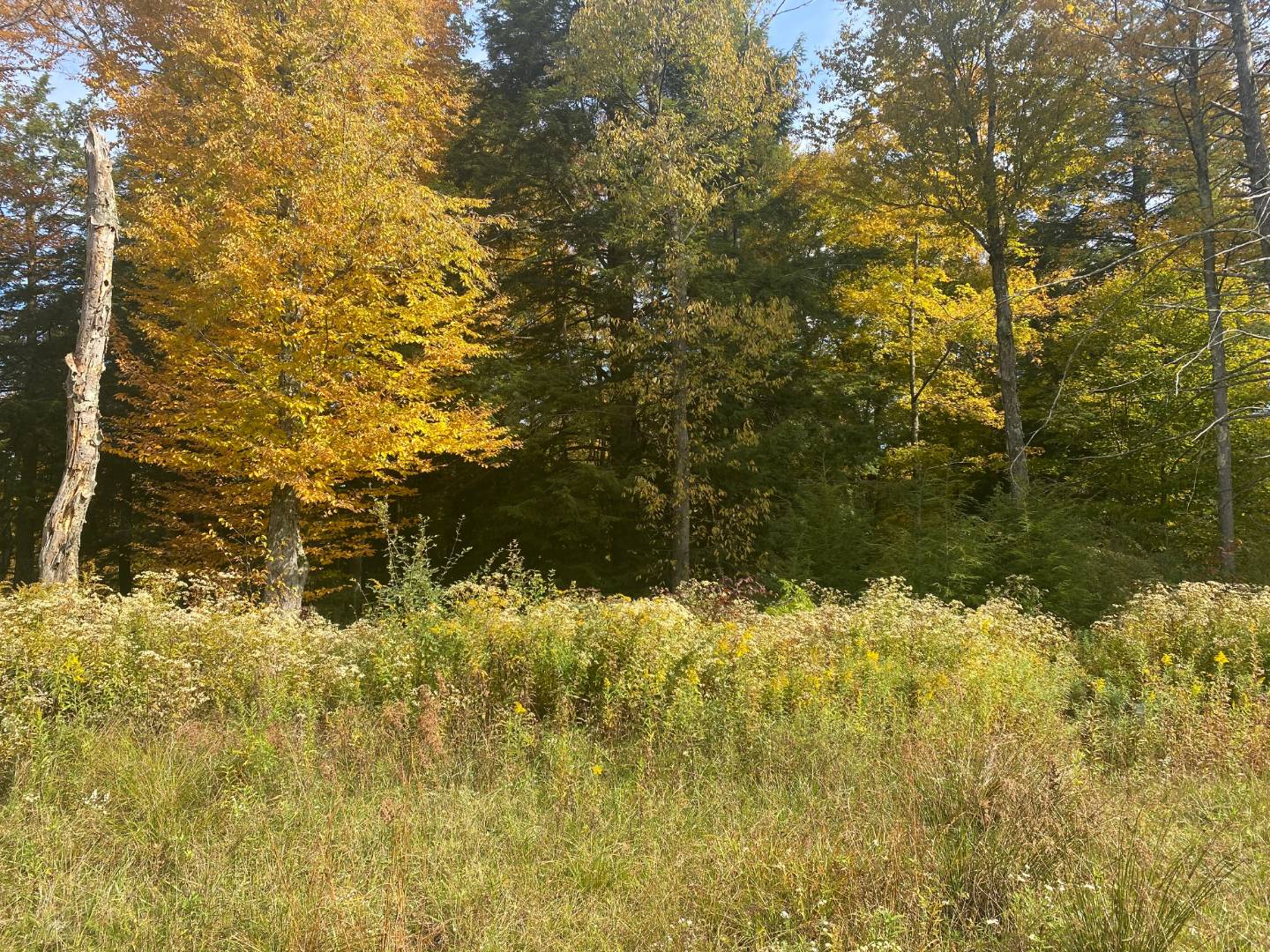 0 Tuscan Ridge Road, Davis, WV 26260 (Sold NYStateMLS Listing 10948131)