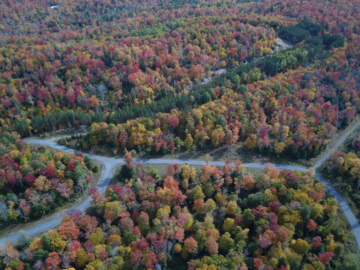 0 Tuscan Ridge Road, Davis, WV 26260 (Sold NYStateMLS Listing 10948131)