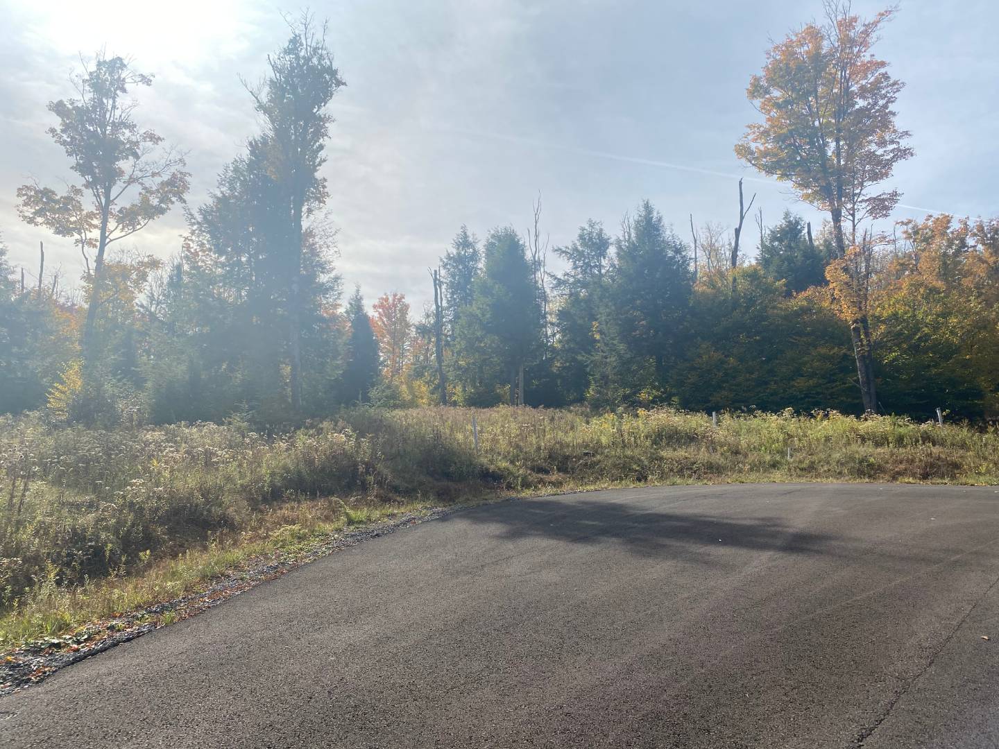 0 Tuscan Ridge Road, Davis, WV 26260 (Sold NYStateMLS Listing 10948131)