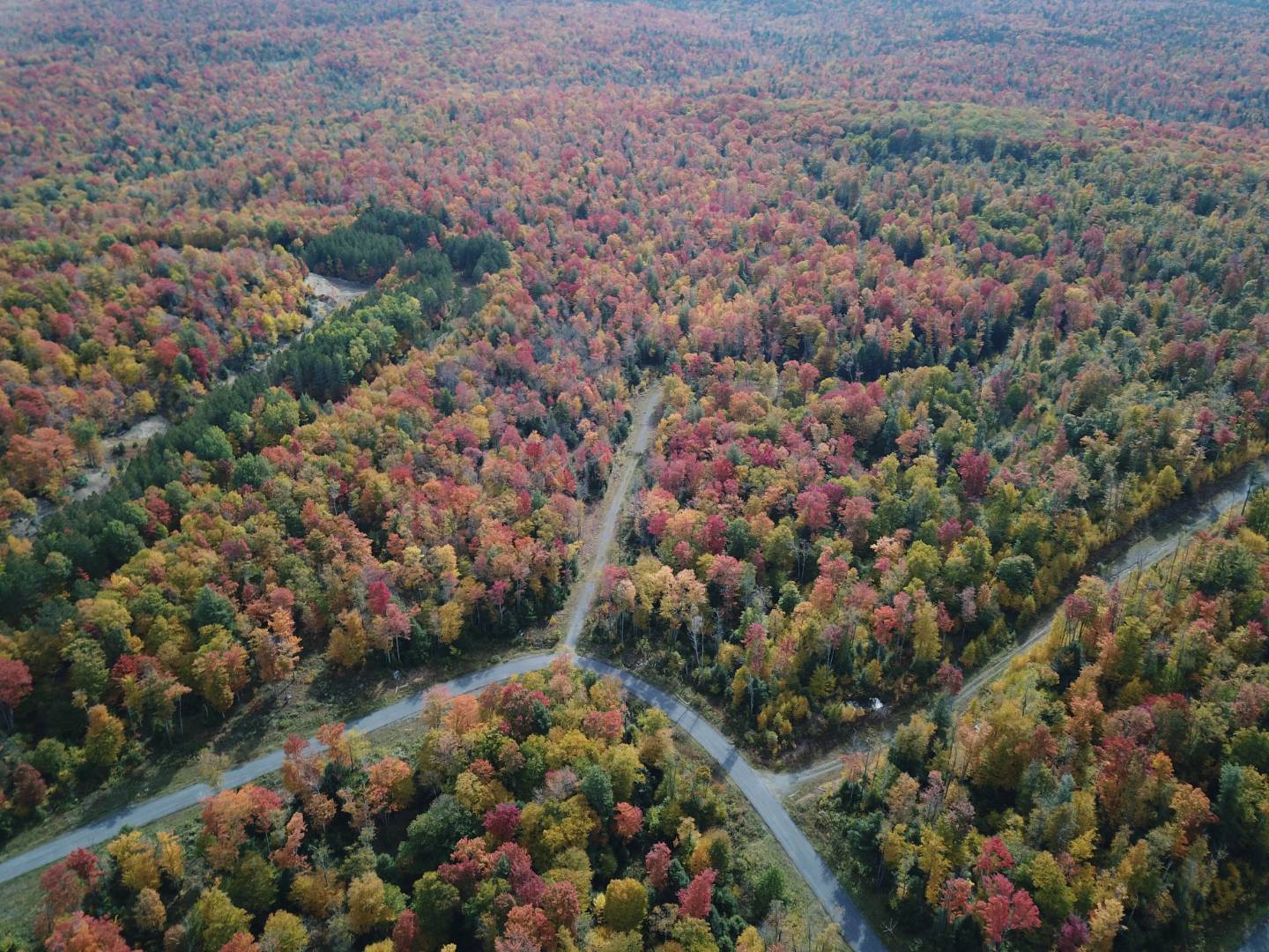 0 Tuscan Ridge Road, Davis, WV 26260 (Sold NYStateMLS Listing 10948131)