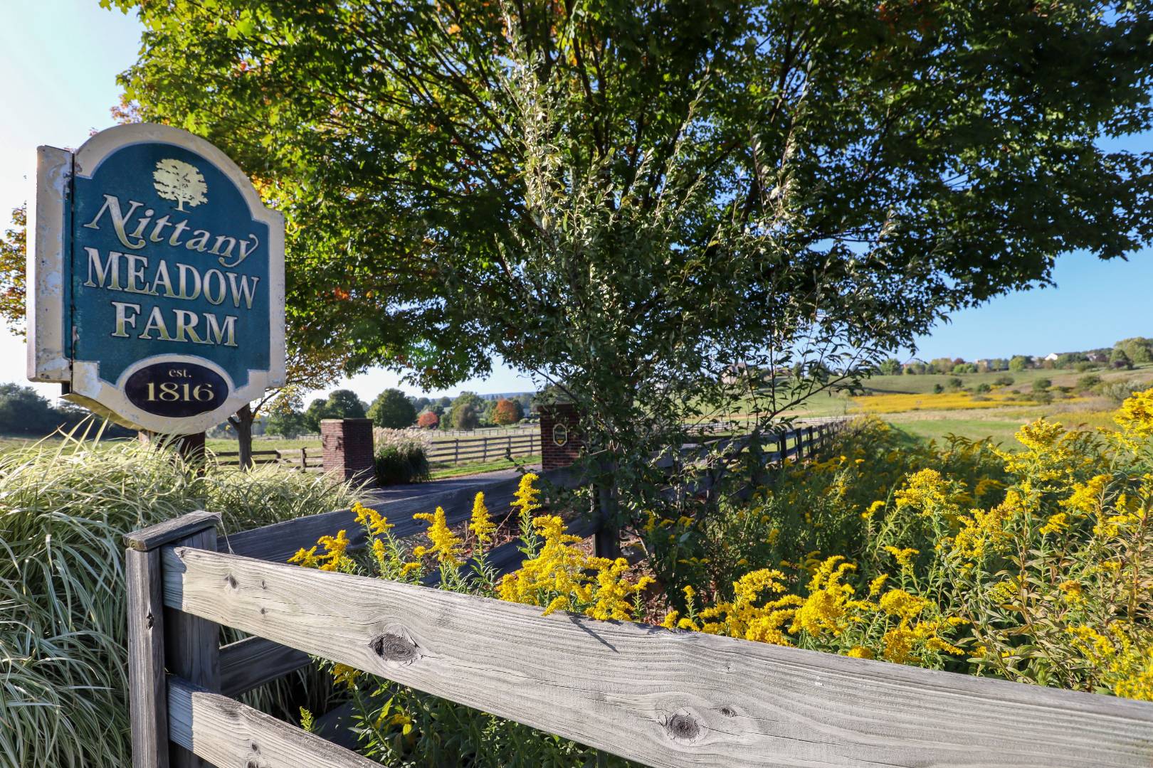 227 Nittany Meadow Farm Lane, Centre Hall, PA 16827 (Sold MyStateMLS