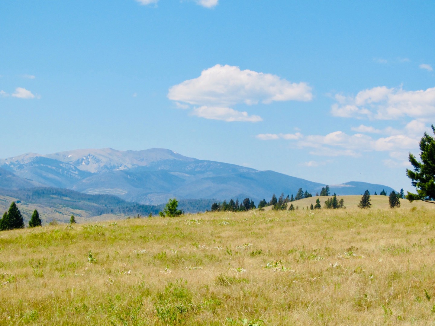 0 Alice Creek Road, Lincoln, MT 59639 (Sold MyStateMLS Listing 10940646)
