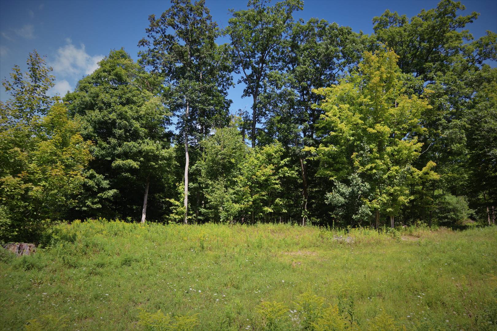 1 Perimeter Rd, South Valley, NY 14738 (Off Market NYStateMLS Listing 10941070)