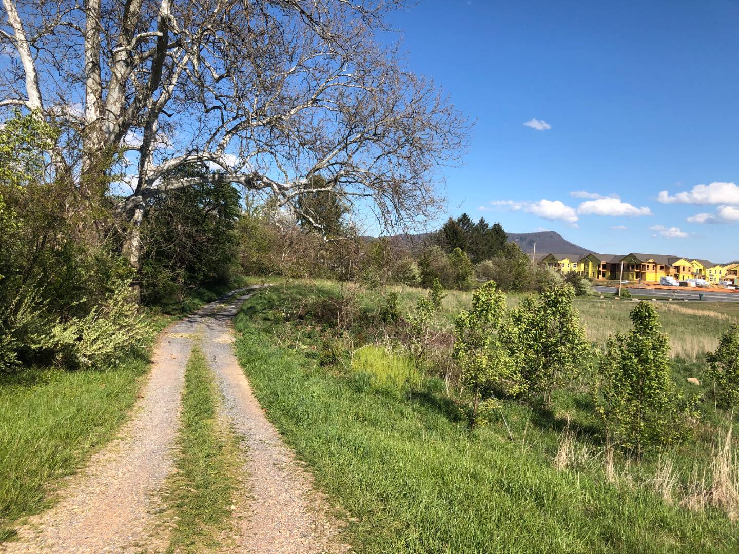 3525 Stone Spring Road, Harrisonburg, VA 22802 (Off Market NYStateMLS