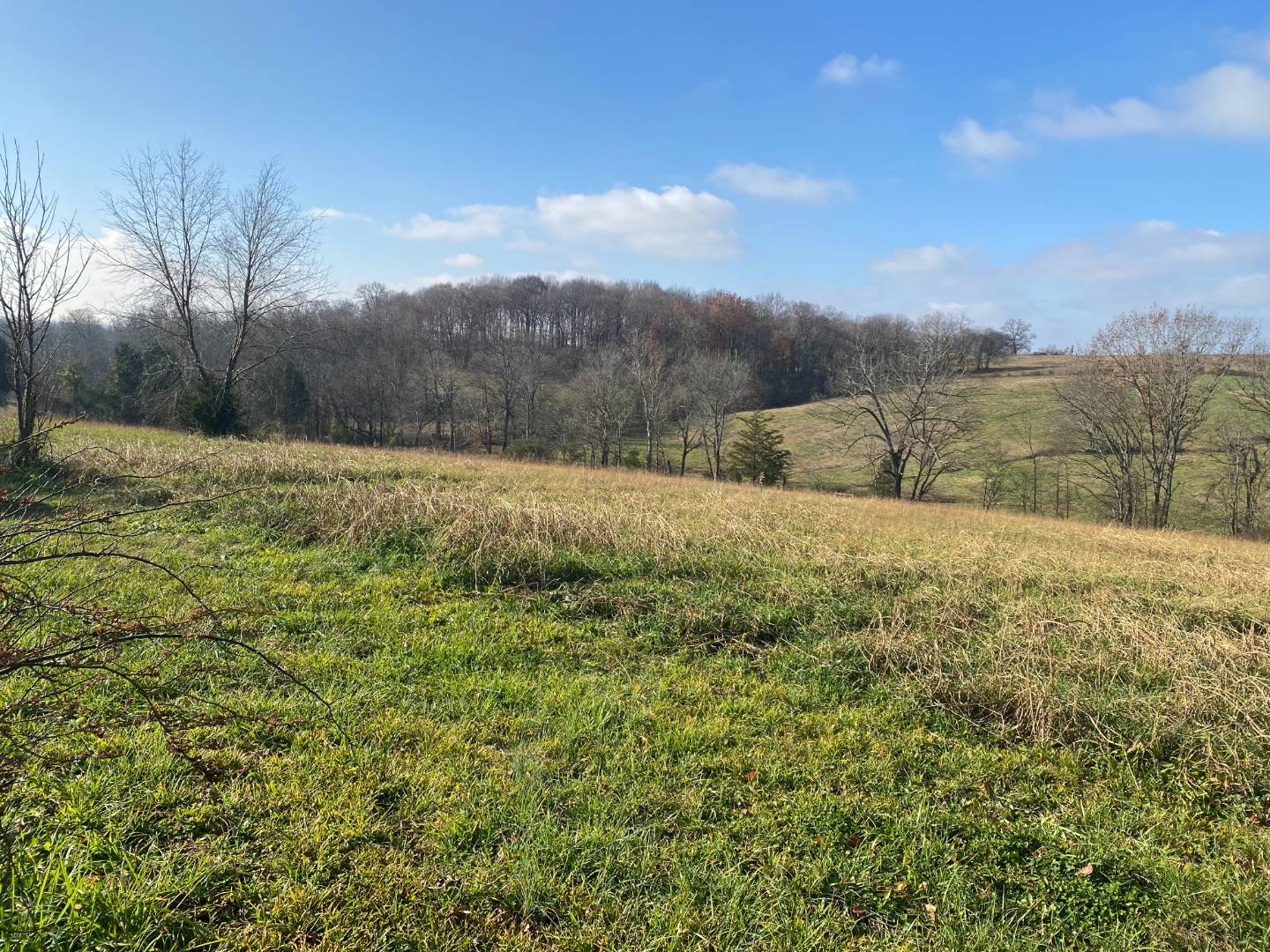 5187 Tompkinsville Road, Glasgow, KY 42141 (Sold MyStateMLS Listing