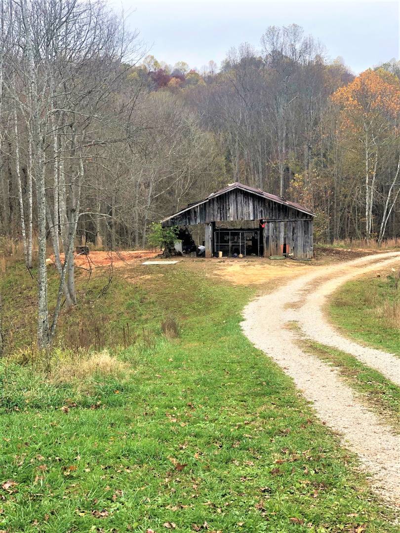 575 Frenchman's Knob Rd, Bonnieville, KY 42713 (Sold MyStateMLS Listing