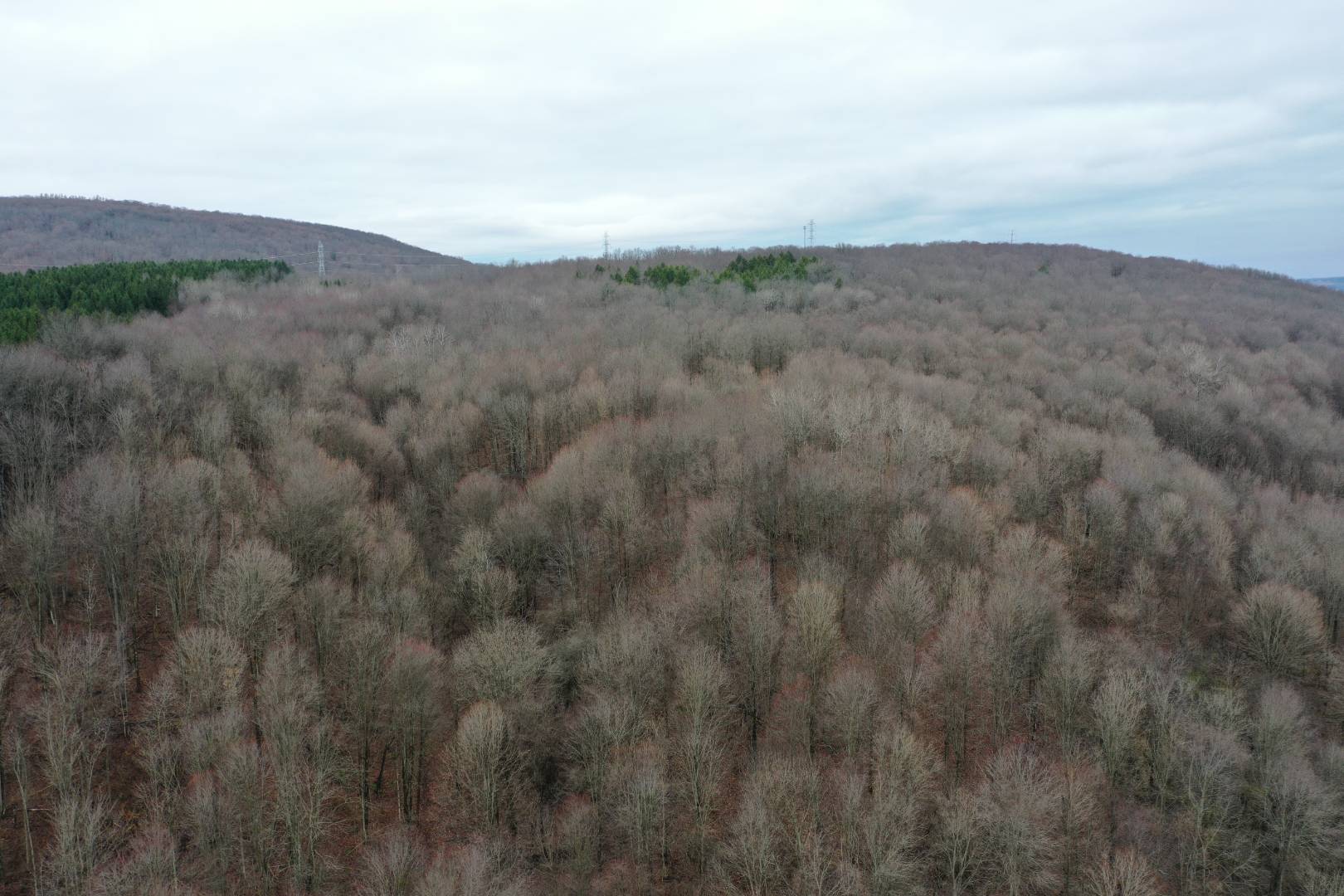 0 Kellogg Rd, Cortland, NY 13045 (Sold NYStateMLS Listing 10956192)