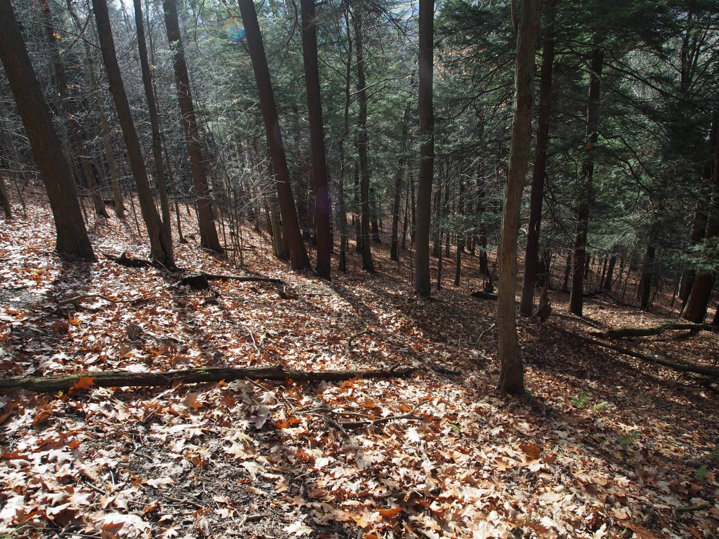 0 Kellogg Rd, Cortland, NY 13045 (Sold NYStateMLS Listing 10956192)