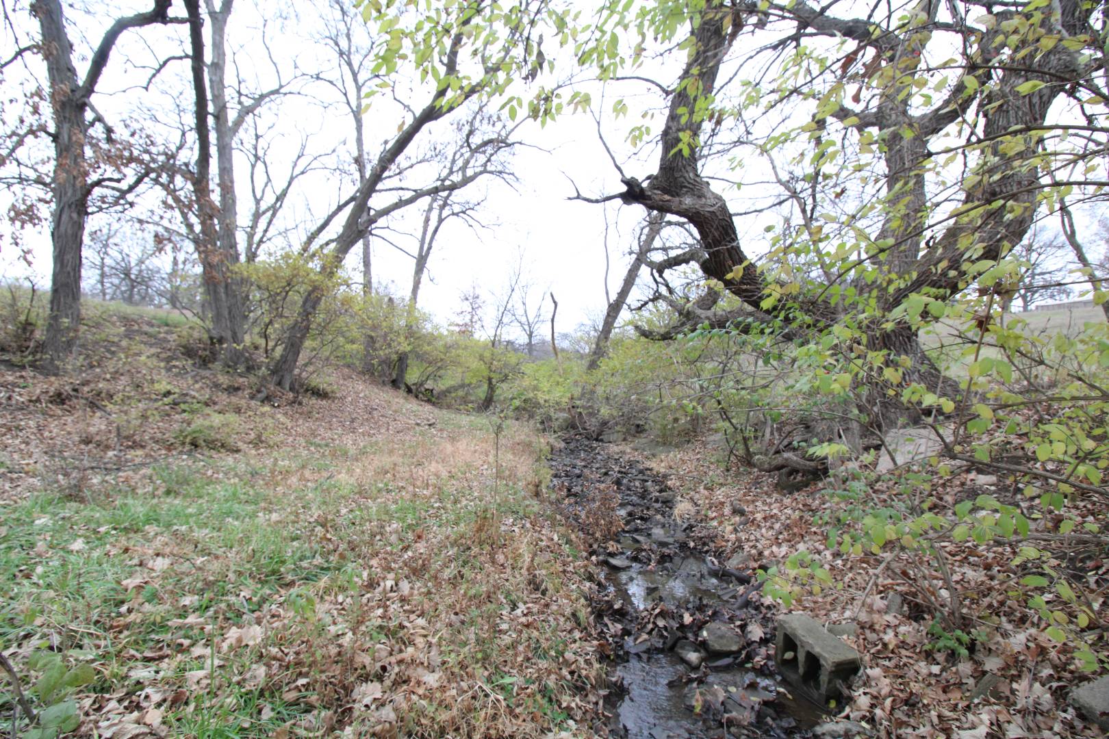 31920 Timber Ridge Trail, Waukee, IA 50263 (Sold NYStateMLS Listing