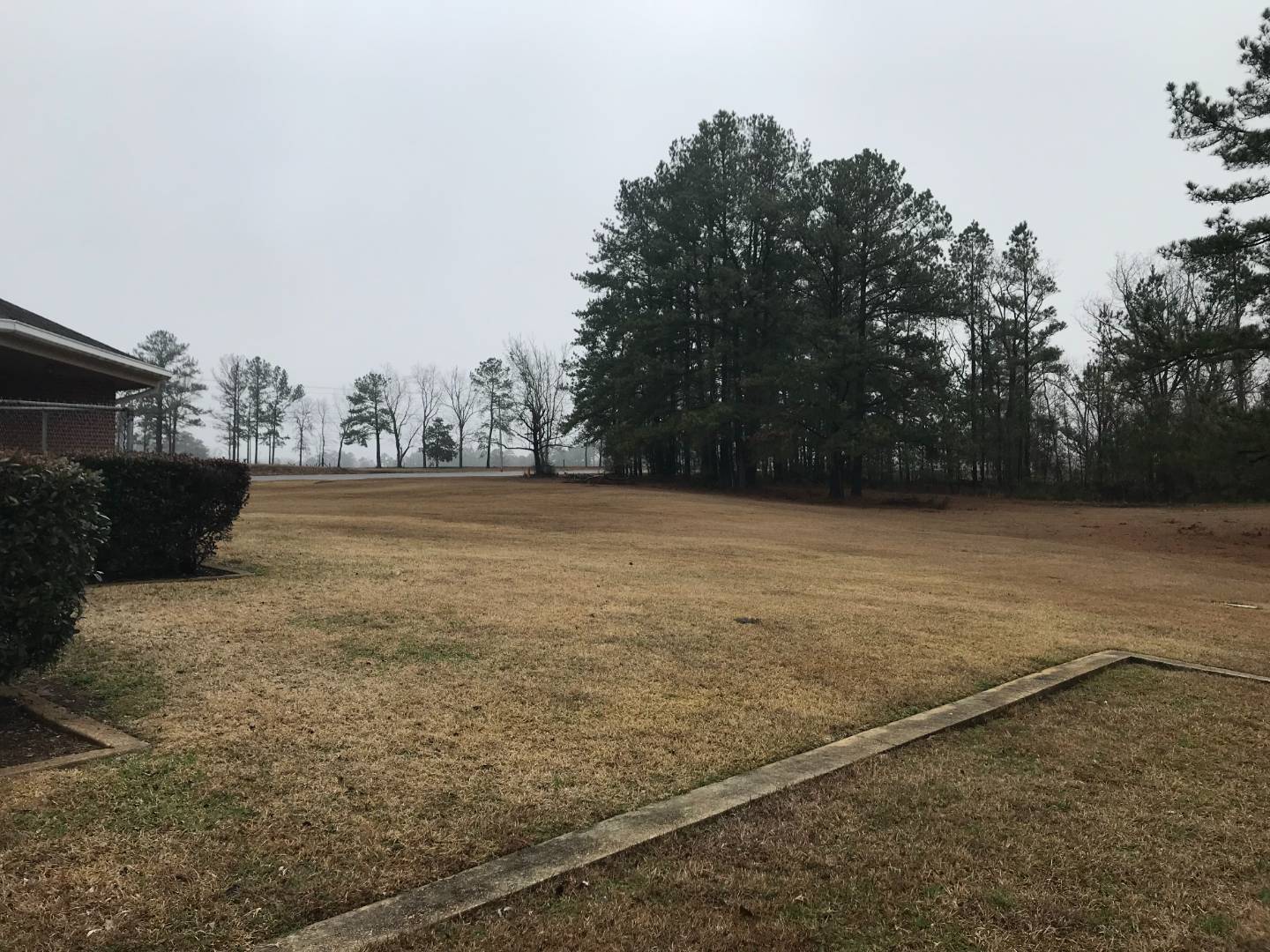 15020 Highway 43, Grove Hill, AL 36451 (Sold MyStateMLS Listing 10968813)