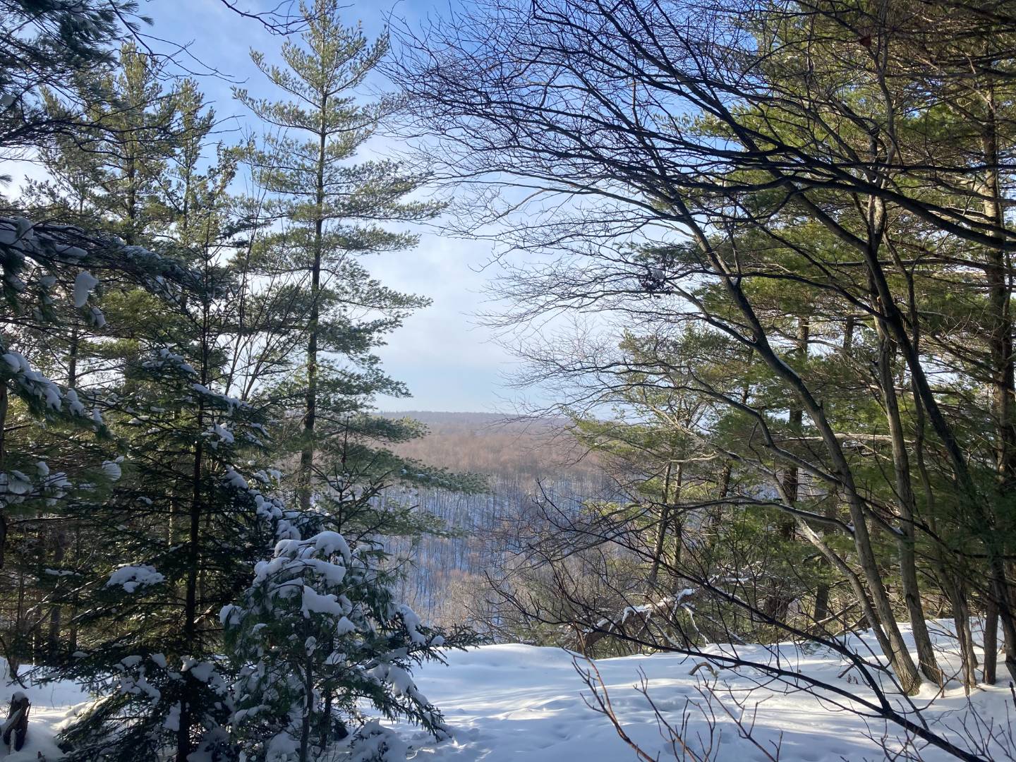 0 Blue Mountain Rd, 0, Fine, NY 13690 (Sold NYStateMLS Listing 10965474)