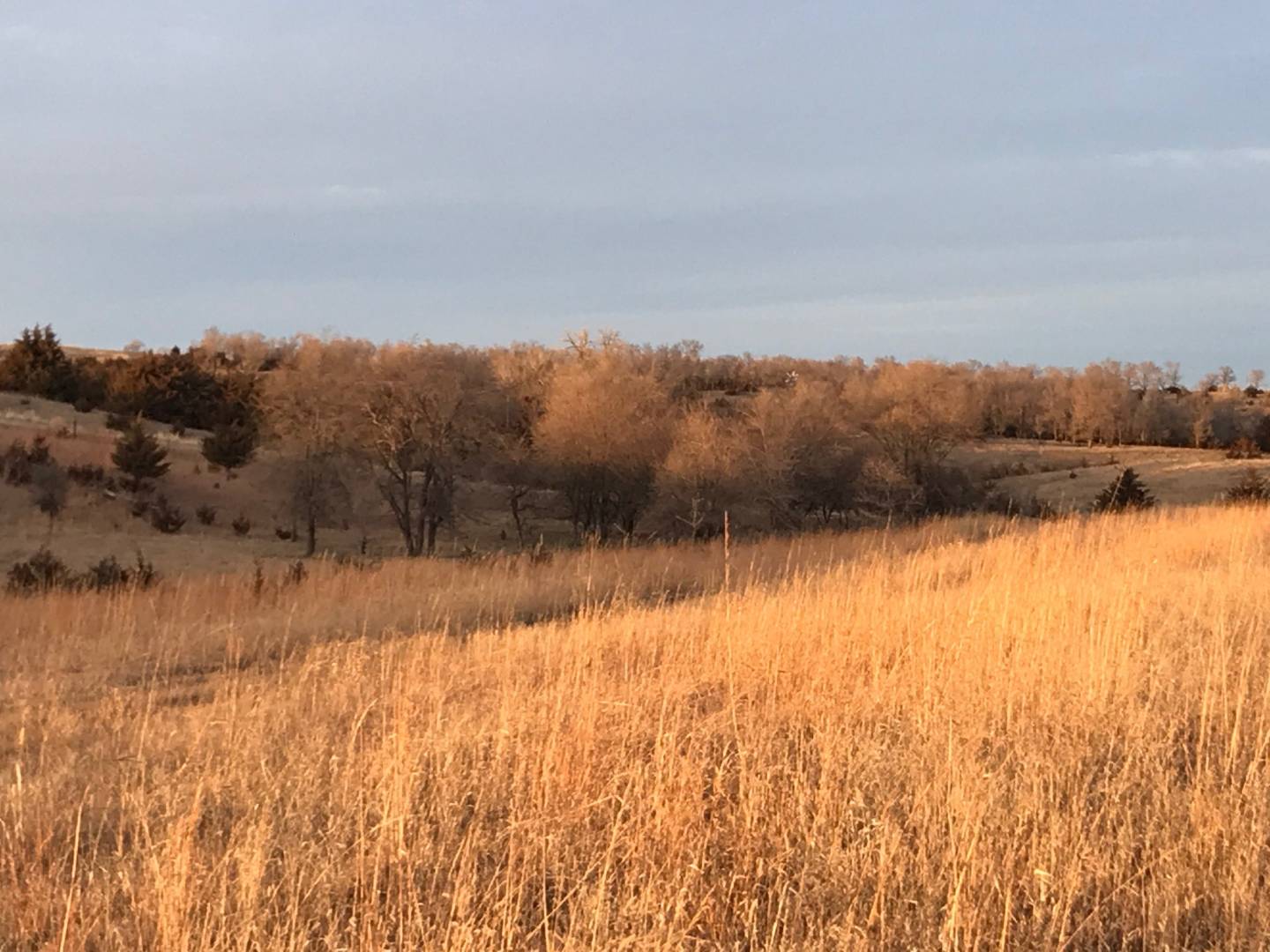 508 Ave & 874 Road, Monowi, NE 68746 (Sold NYStateMLS Listing 10960579)