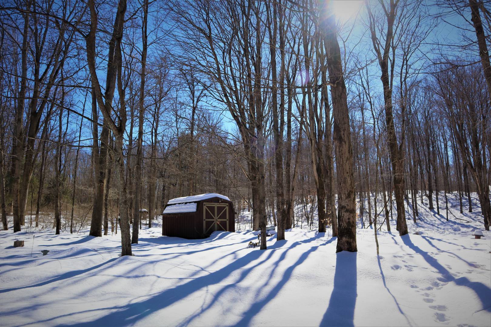 0 Hassam Rd, Panama, NY 14767 (Sold NYStateMLS Listing 10976131)