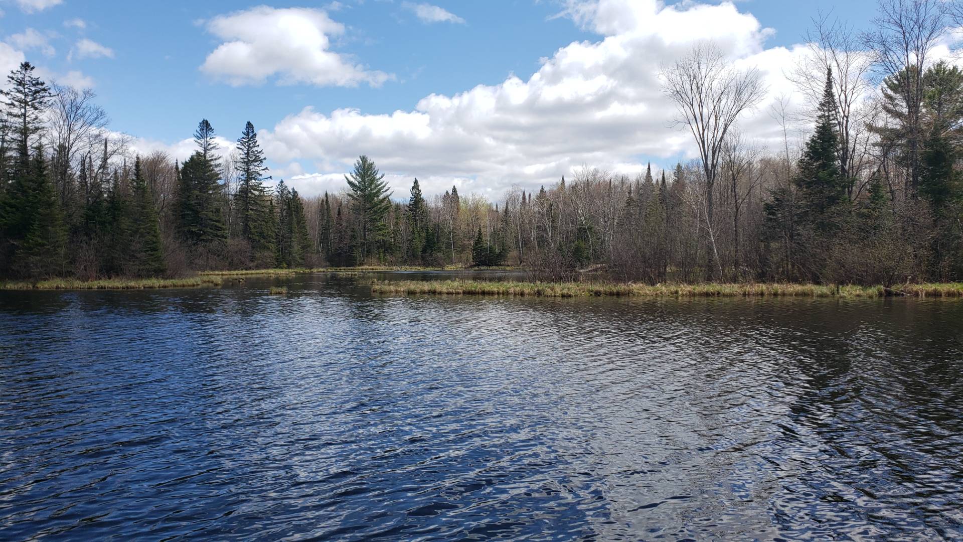 004 Lily Lake Road, Pickeral, WI 54465 (Sold MyStateMLS Listing 10991947)