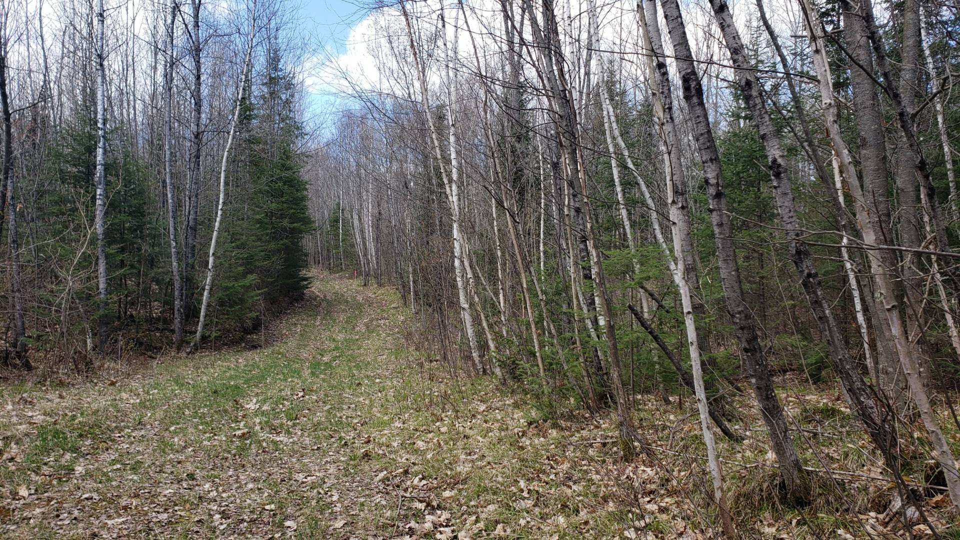 004 Lily Lake Road, Pickeral, WI 54465 (Sold MyStateMLS Listing 10991947)