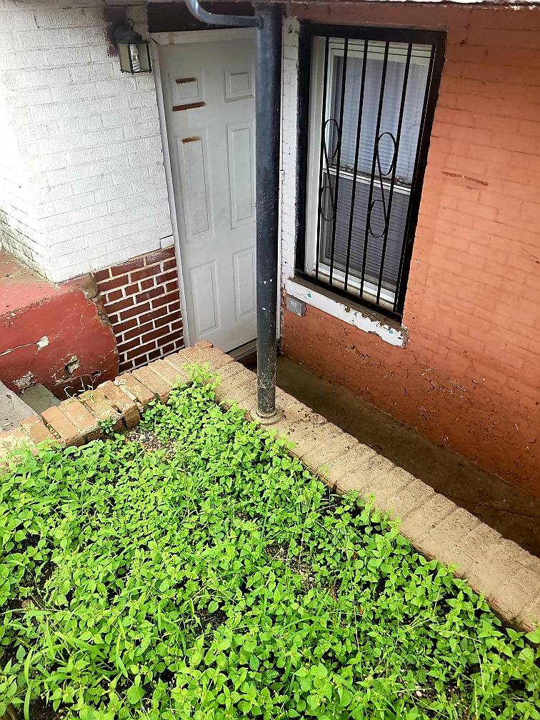 4420 PARK AVENUE, Bronx, NY, 10457