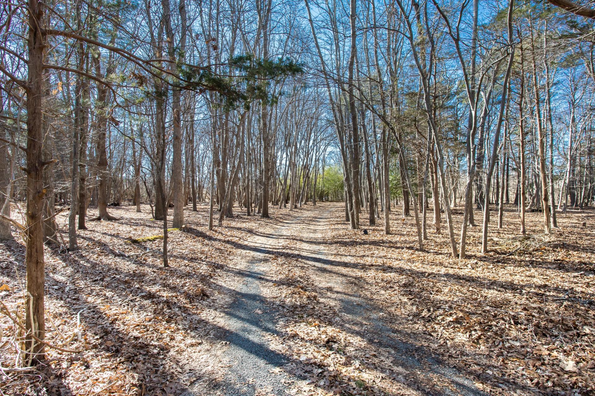 27 Mott Lane, Brookhaven Hamlet, NY 11719 (Sold NYStateMLS Listing