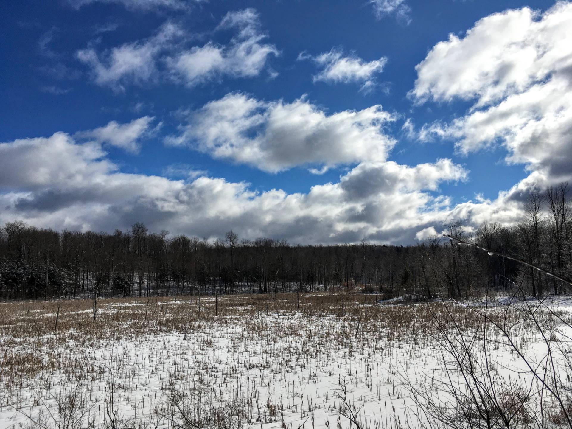 Off Donnerville Rd, Russell, NY 13684 (Sold NYStateMLS Listing 11060203)