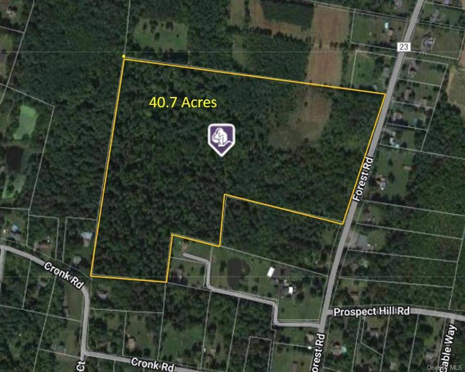 231 Forest Rd, Wallkill, NY 12589 (Off Market MyStateMLS Listing 11087306)