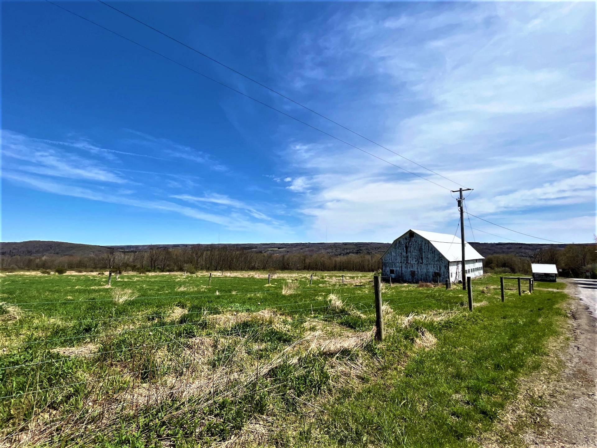 8698 Murray Hill Rd, 1, Boston, NY 14025 (Sold MyStateMLS Listing