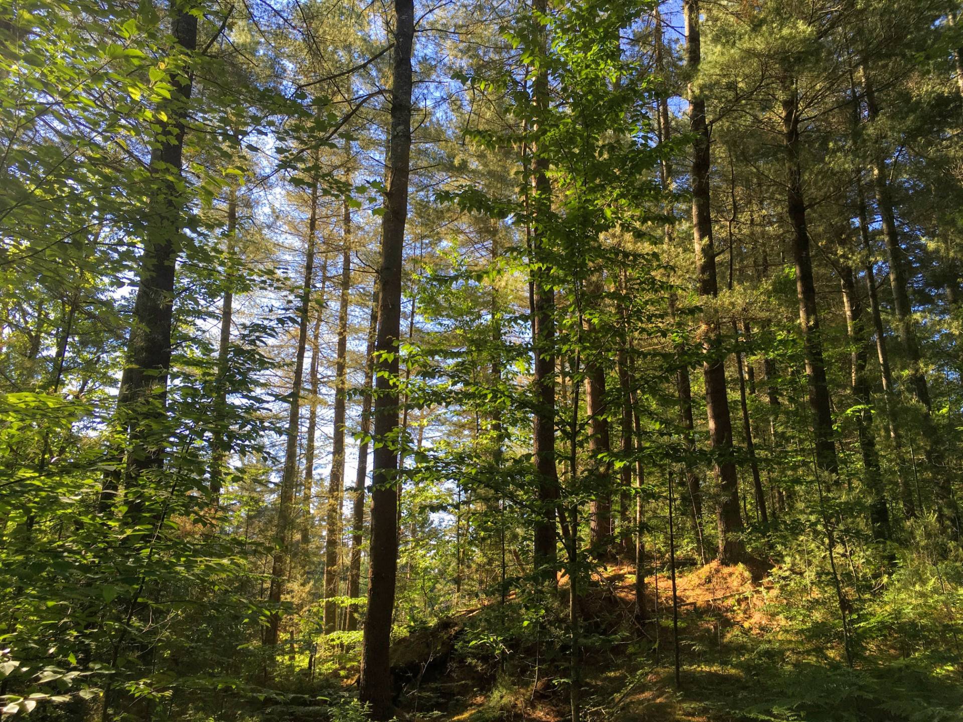 00 SH 58, Edwards, NY 13635 (Sold MyStateMLS Listing 11087461)