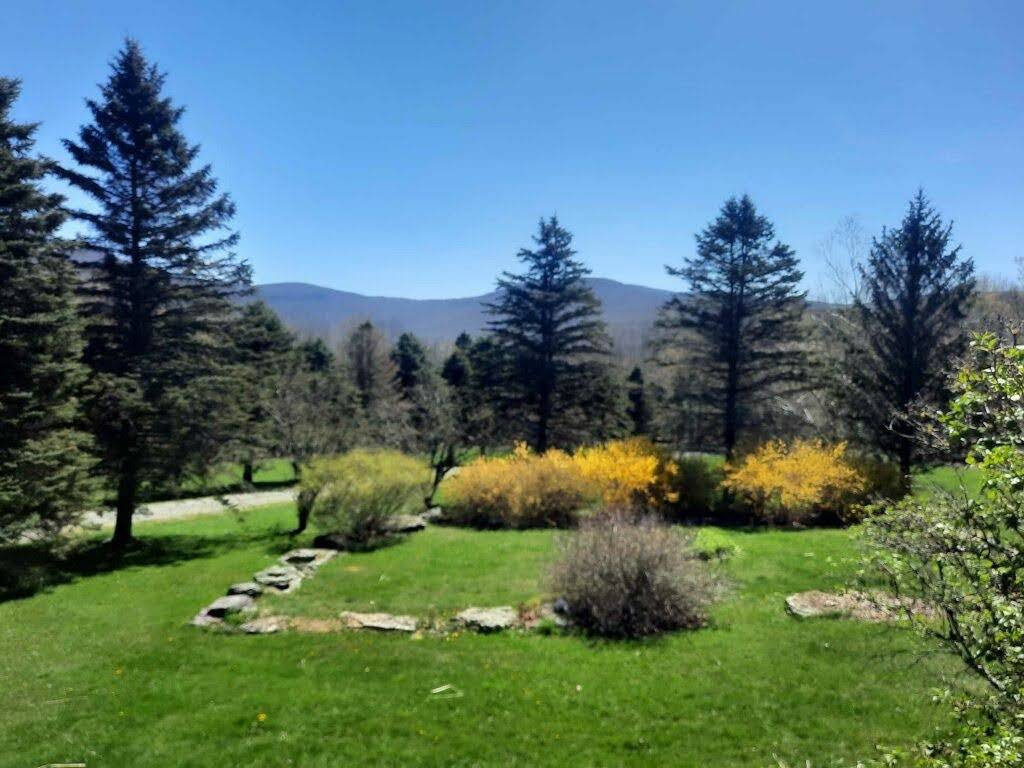 631 Turkey Ridge Road, Halcott Center, NY 12430 (Sold MyStateMLS Listing 11089966)