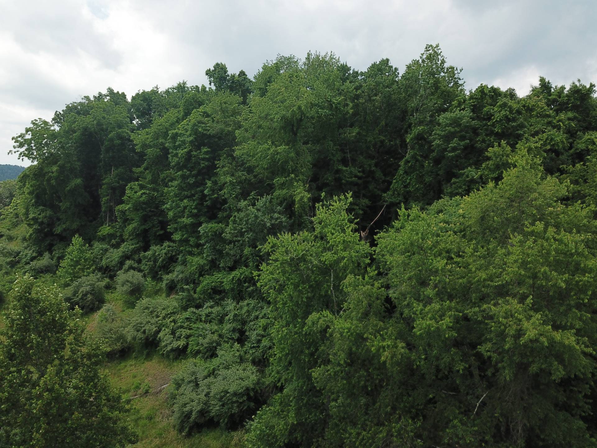 Lot 1 Pheasant Ridge Rd, Bridgeport, WV 26330 (Sold NYStateMLS Listing