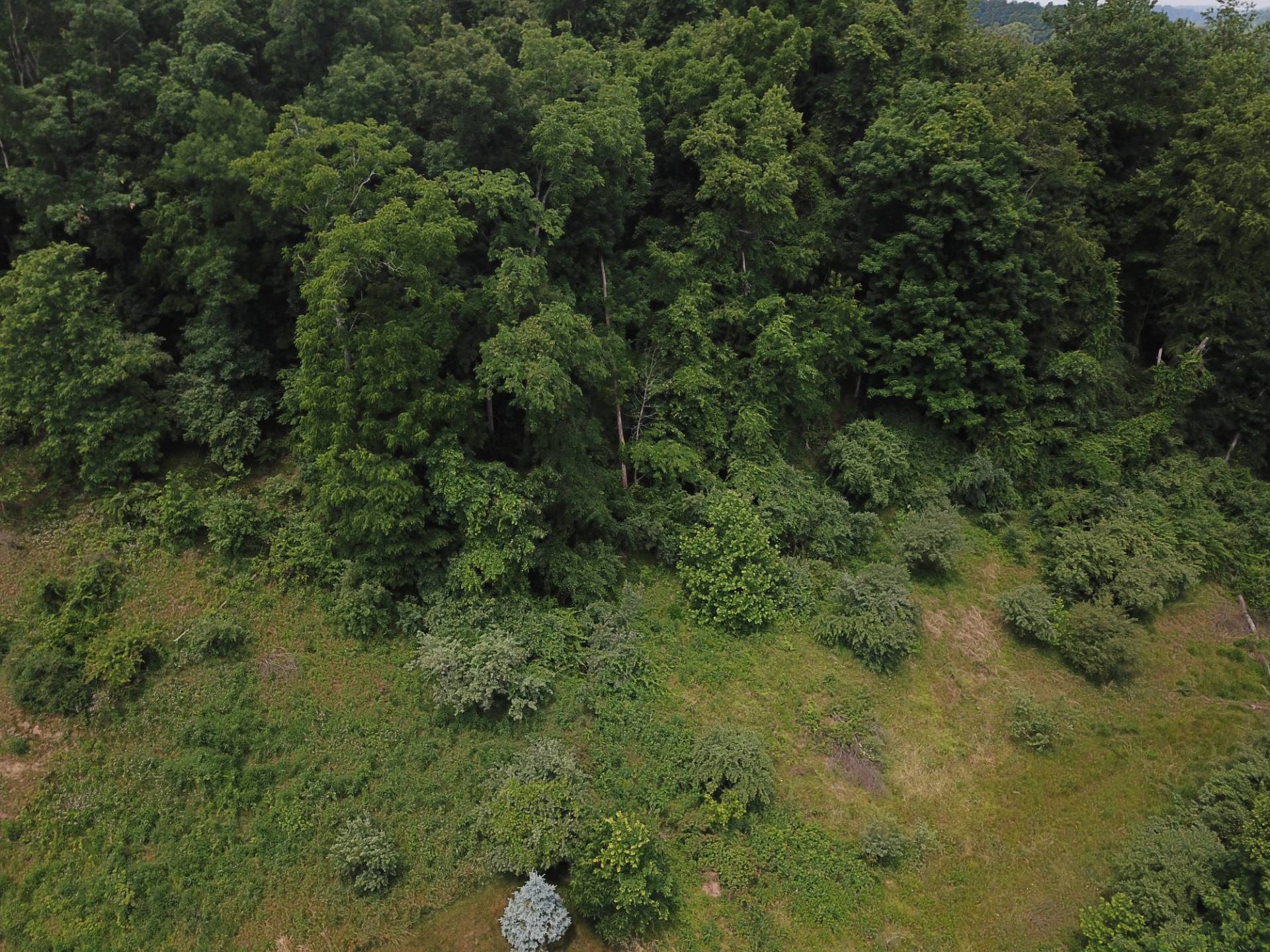 Lot 1 Pheasant Ridge Rd, Bridgeport, WV 26330 (In Contract NYStateMLS