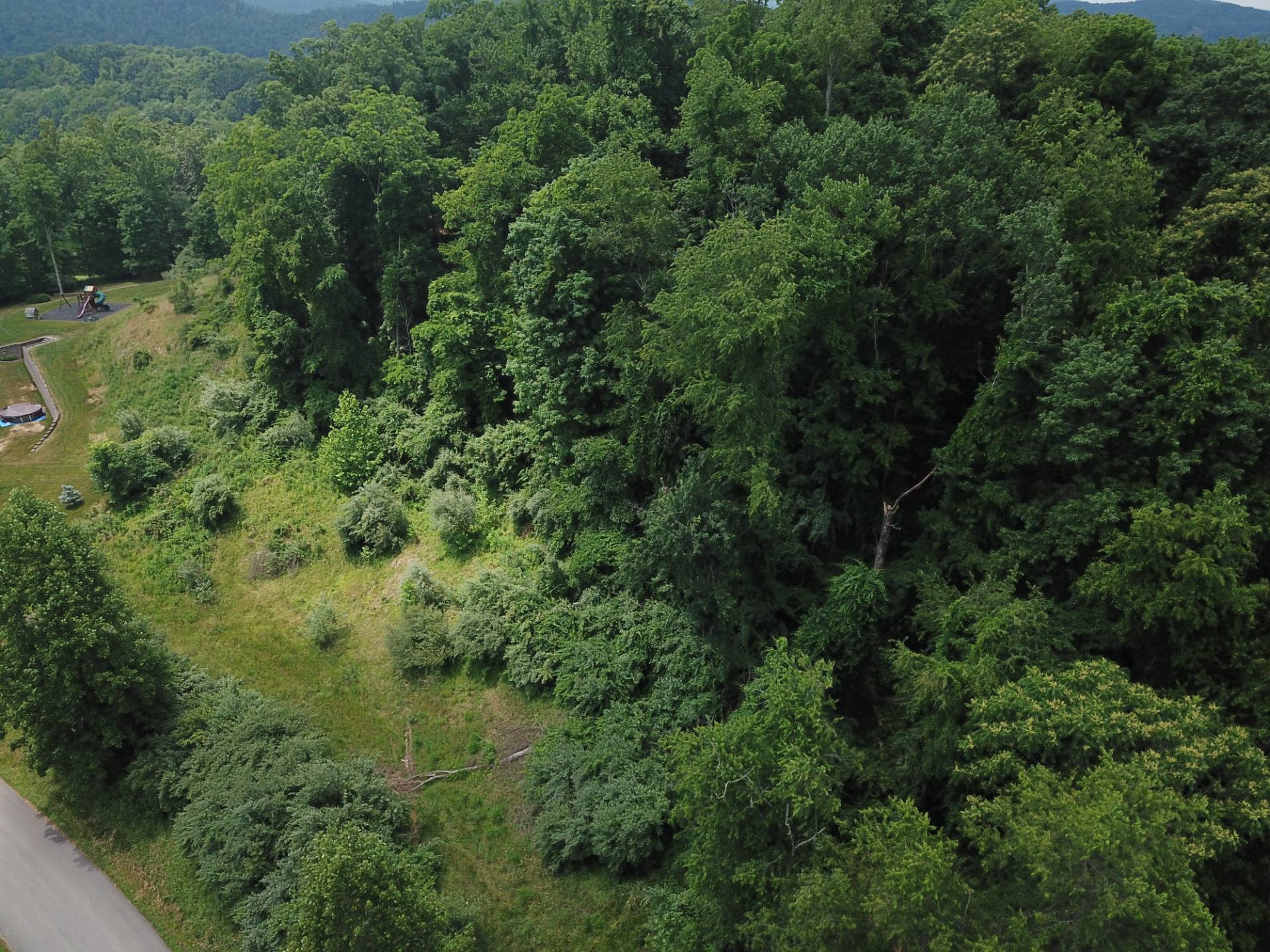 Lot 1 Pheasant Ridge Rd, Bridgeport, WV 26330 (In Contract NYStateMLS
