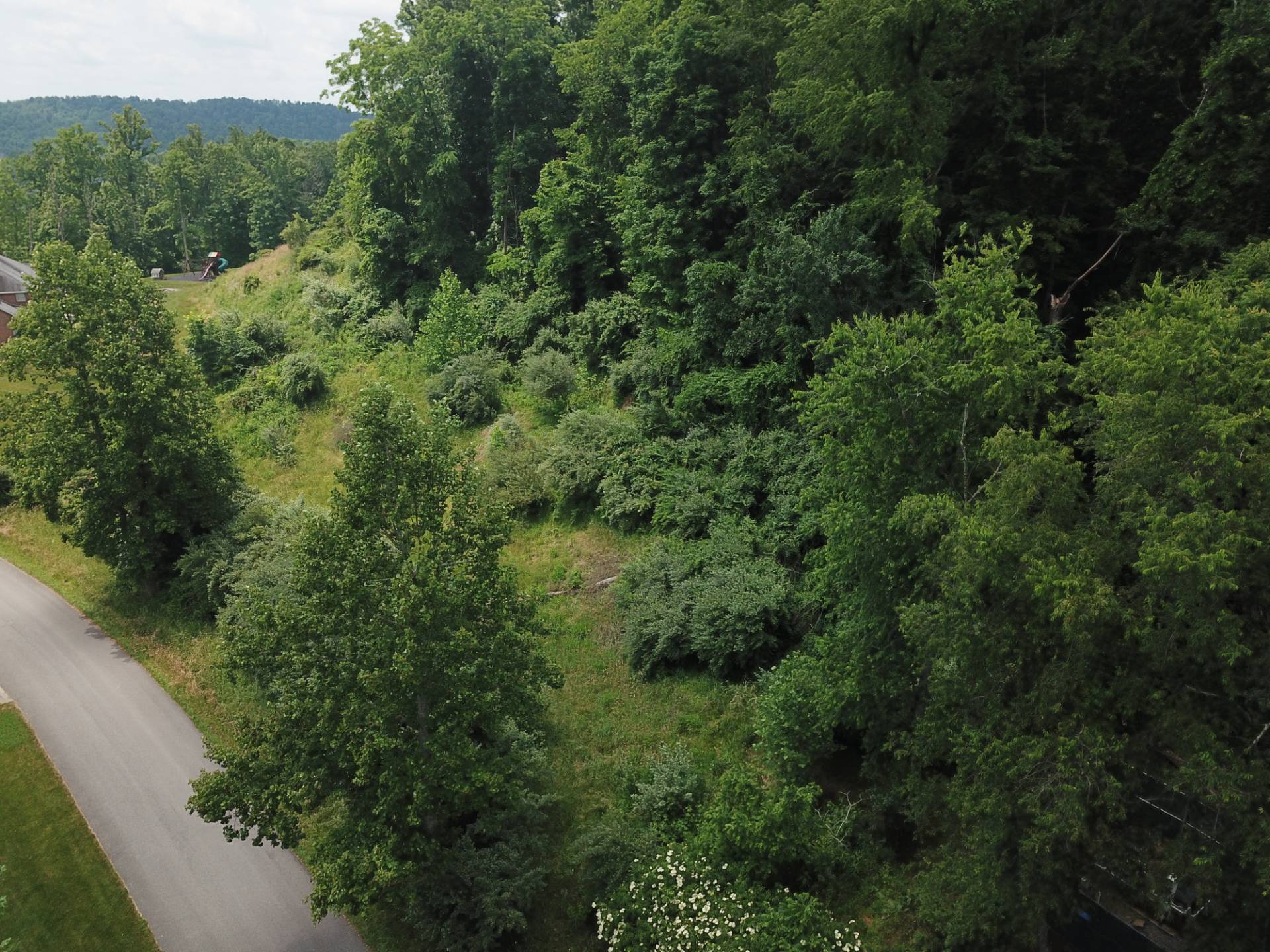 Lot 1 Pheasant Ridge Rd, Bridgeport, WV 26330 (Sold NYStateMLS Listing