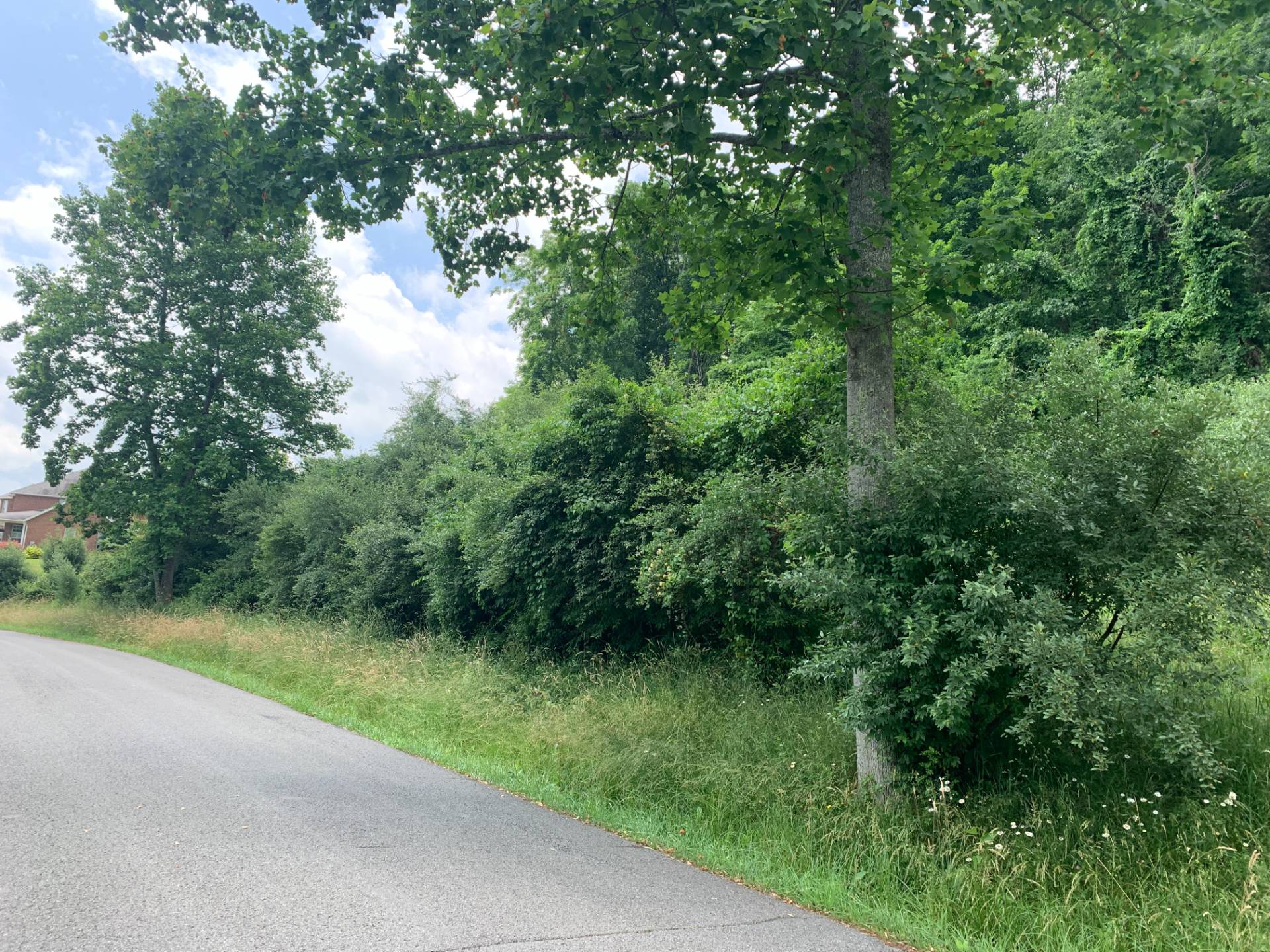 Lot 1 Pheasant Ridge Rd, Bridgeport, WV 26330 (In Contract NYStateMLS