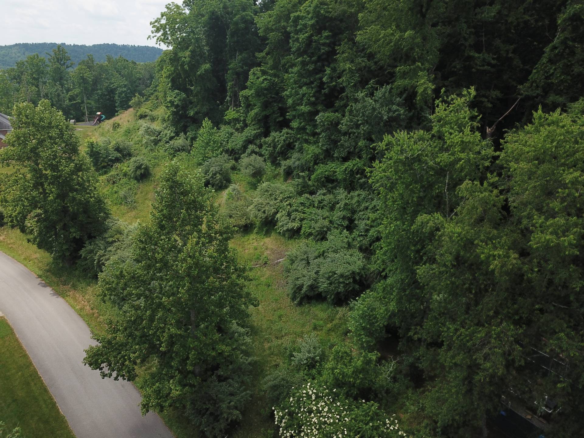 Lot 1 Pheasant Ridge Rd, Bridgeport, WV 26330 (Sold NYStateMLS Listing