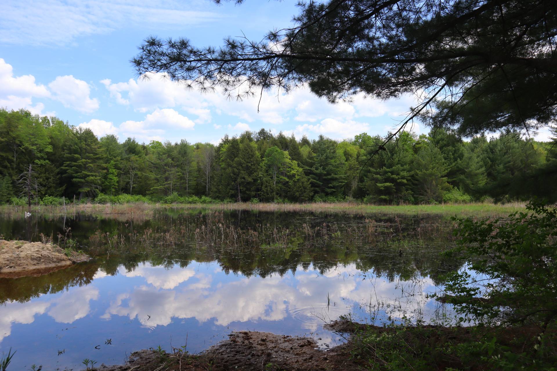 8361 Lockwood Rd, VL, Caneadea, NY 14717 (Sold MyStateMLS Listing