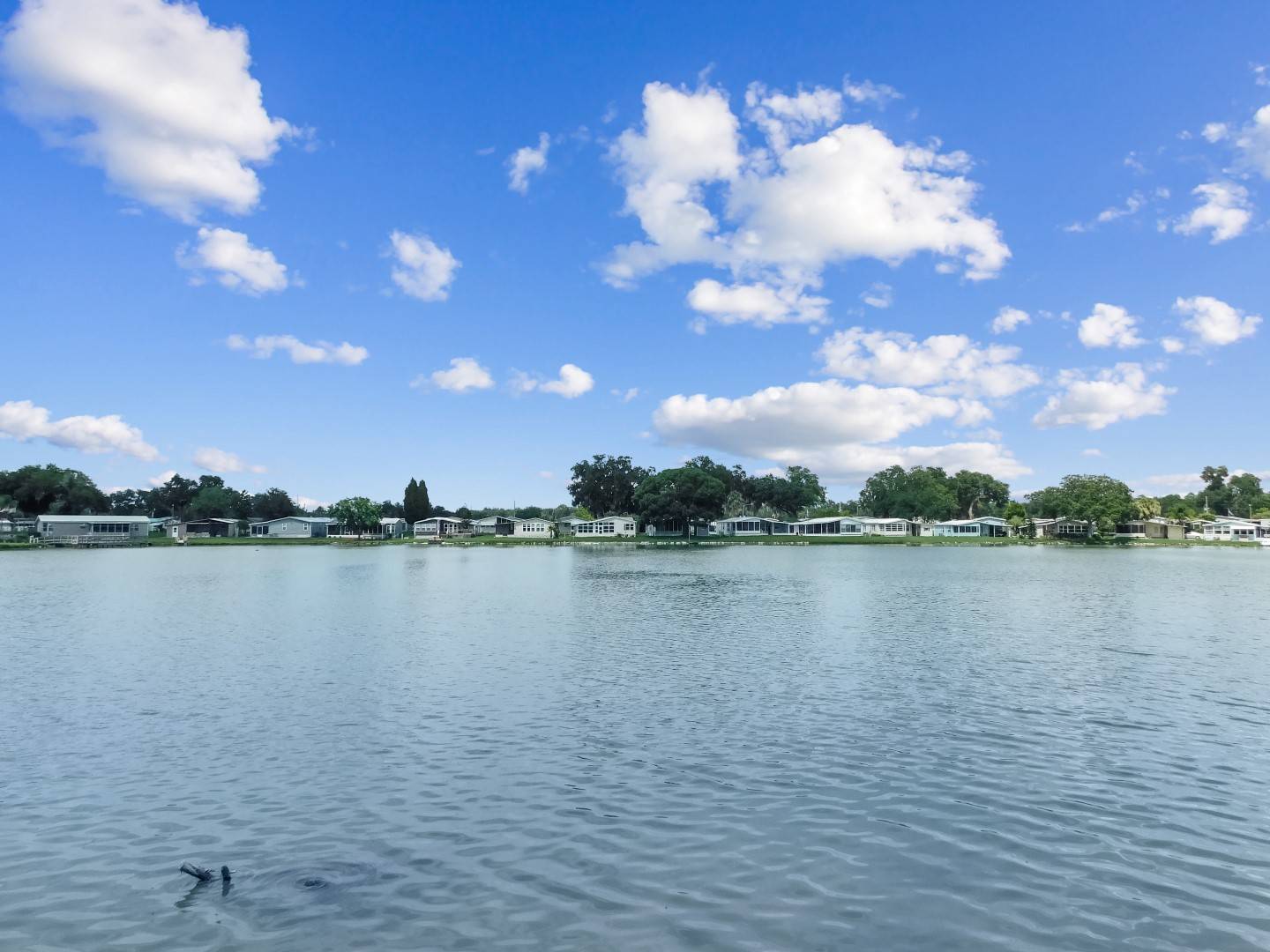 41068 Bream Circle, Zephyrhills, FL 33540 (Sold MyStateMLS Listing