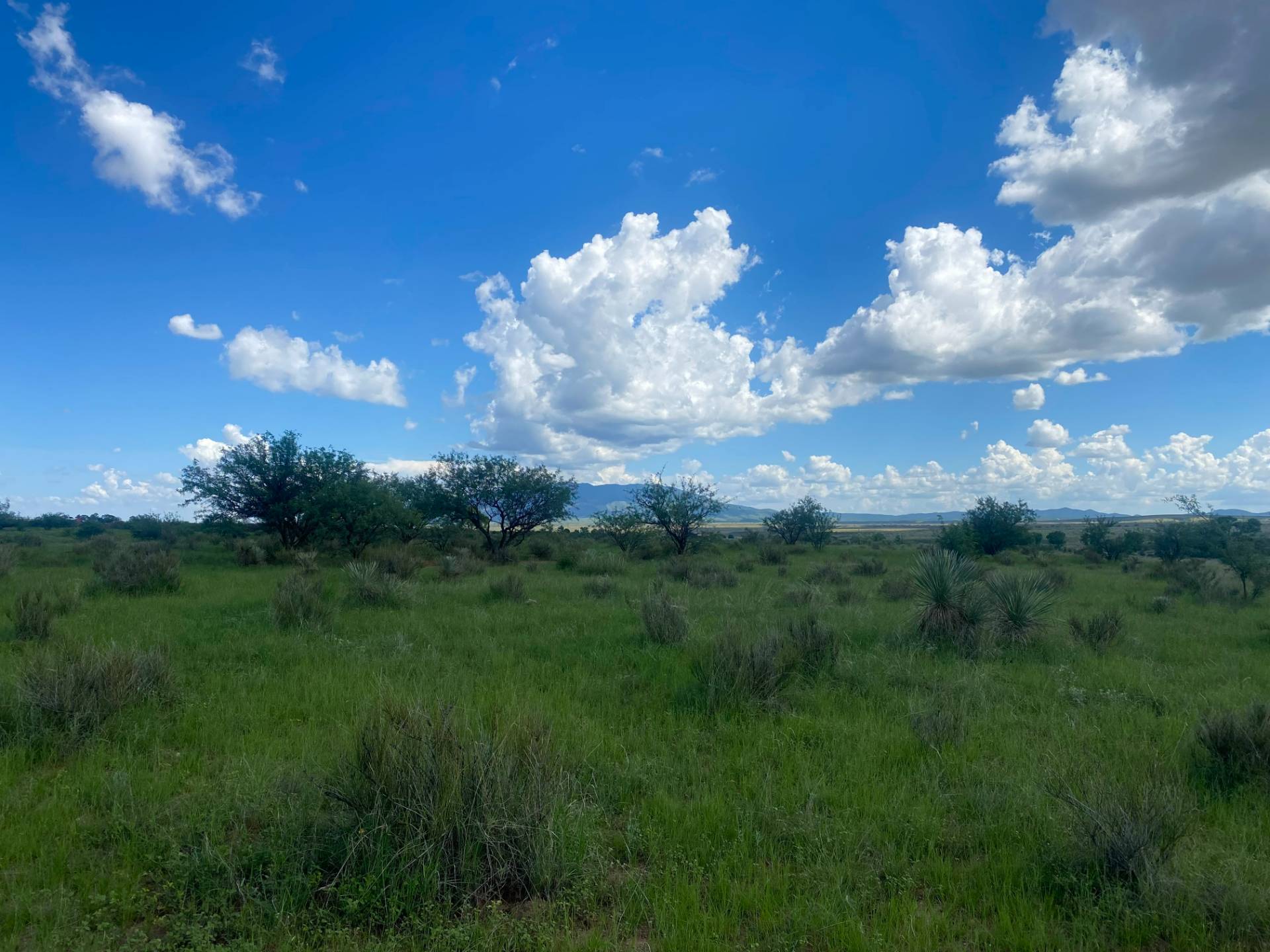 NORTH 24 acres Upper Elgin Rd, ELGIN, AZ 85611 (Sold MyStateMLS Listing