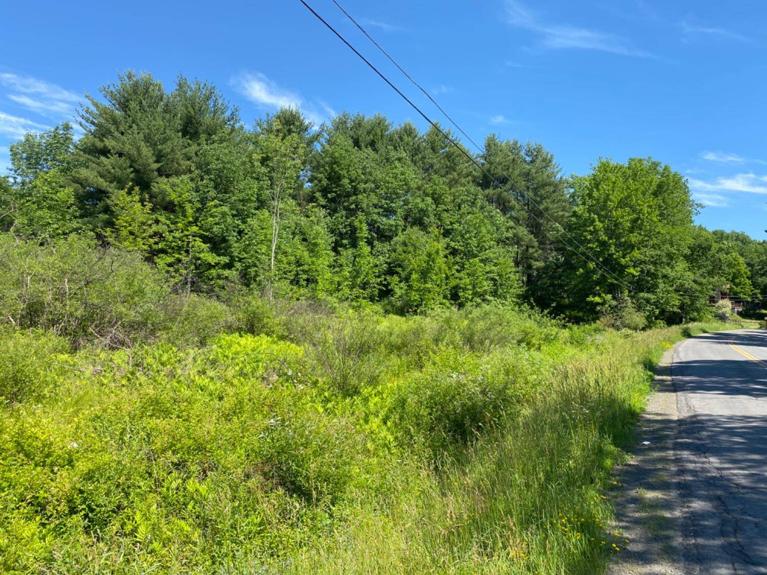 0 Co Hwy 49, Morris, NY 13808 (Sold NYStateMLS Listing 11092237)