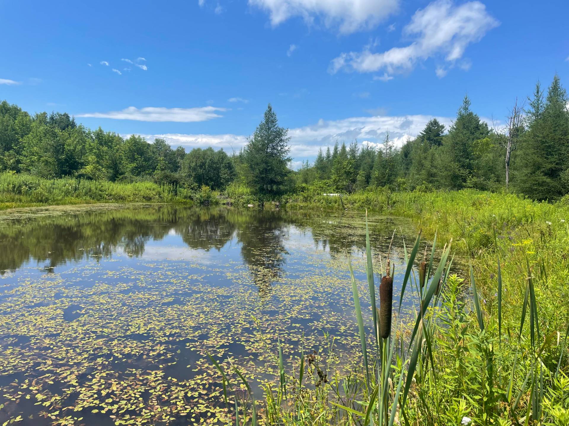 6987 State Highway 29, Oppenheim, NY 13329 (Sold MyStateMLS Listing