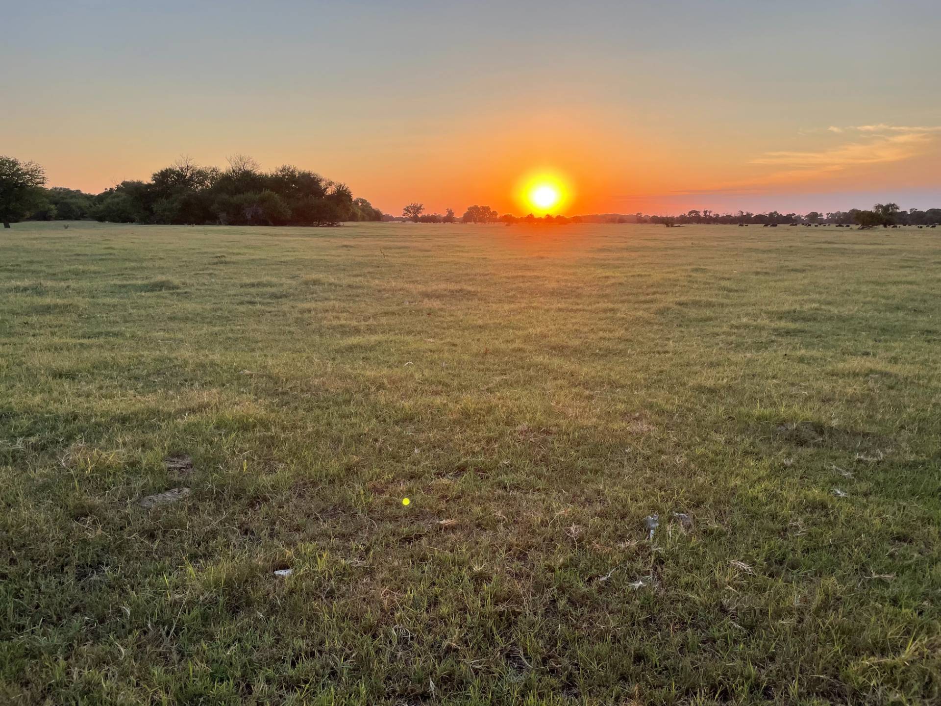 11001 N 247th St. W, Sedgwick, KS 67108 (Sold MyStateMLS Listing 11102137)