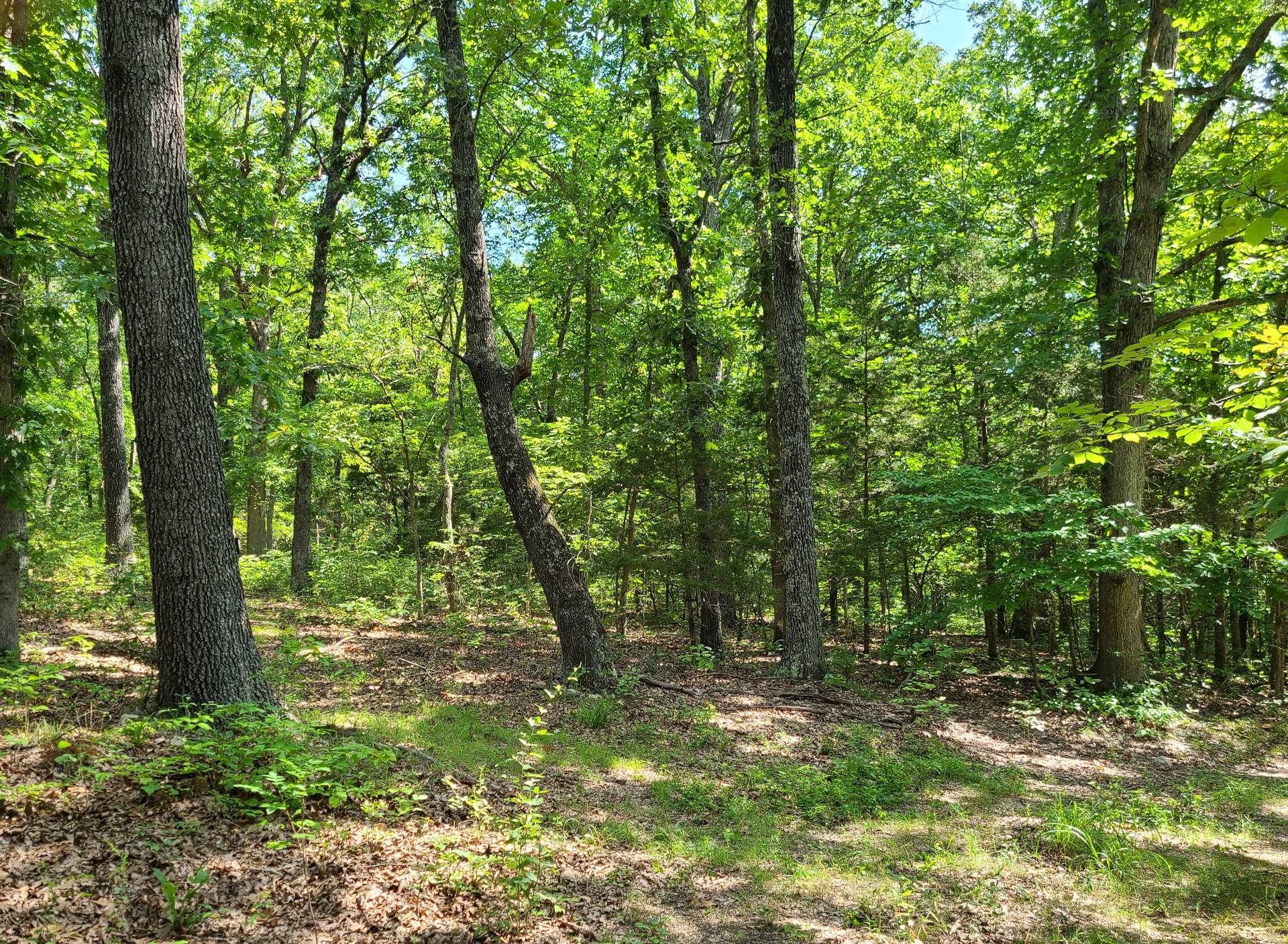 1948 Birdsnest Road, Cuba, MO 65565 (Sold MyStateMLS Listing 11102341)