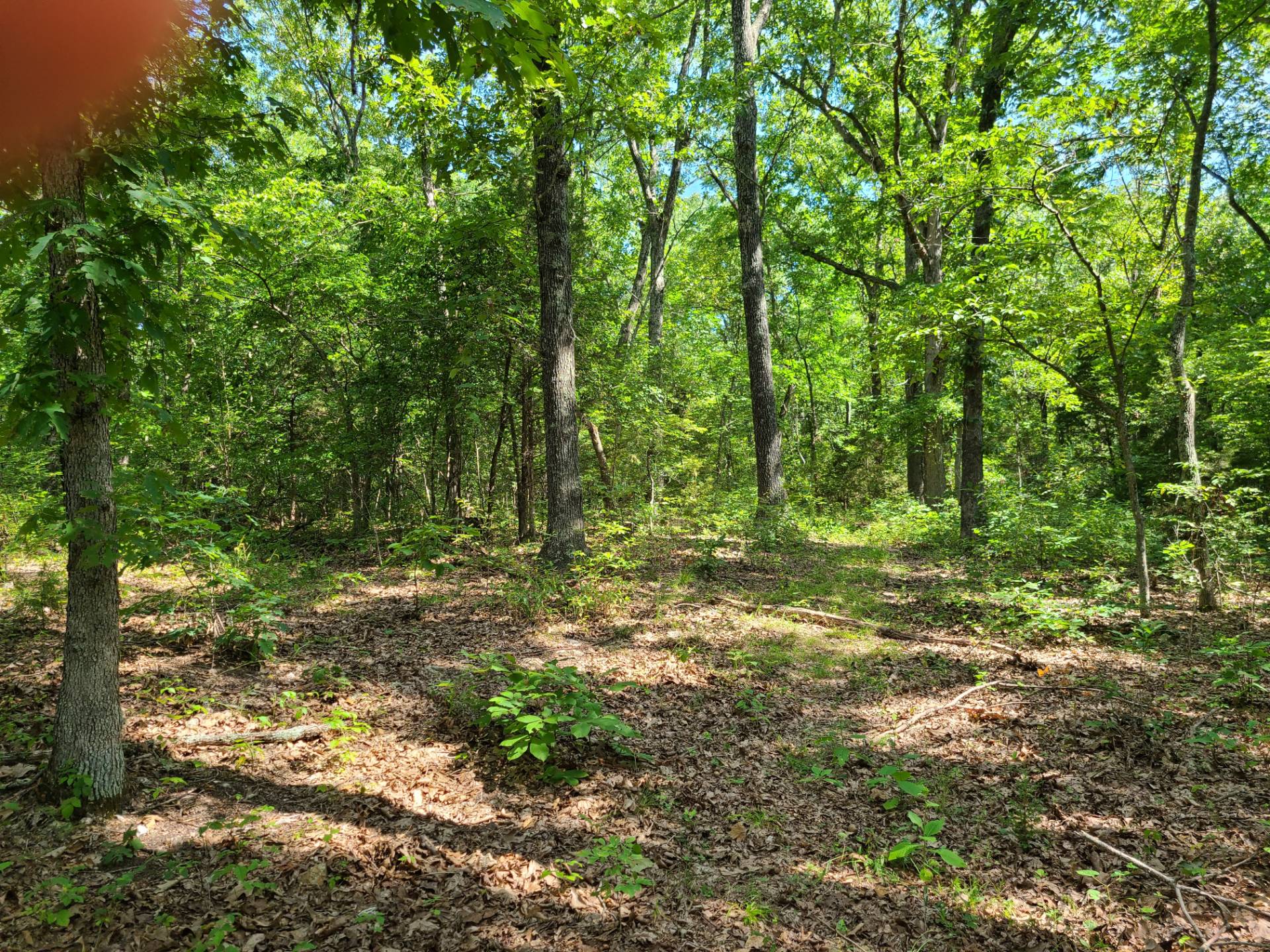 1948 Birdsnest Road, Cuba, MO 65565 (Sold MyStateMLS Listing 11102341)
